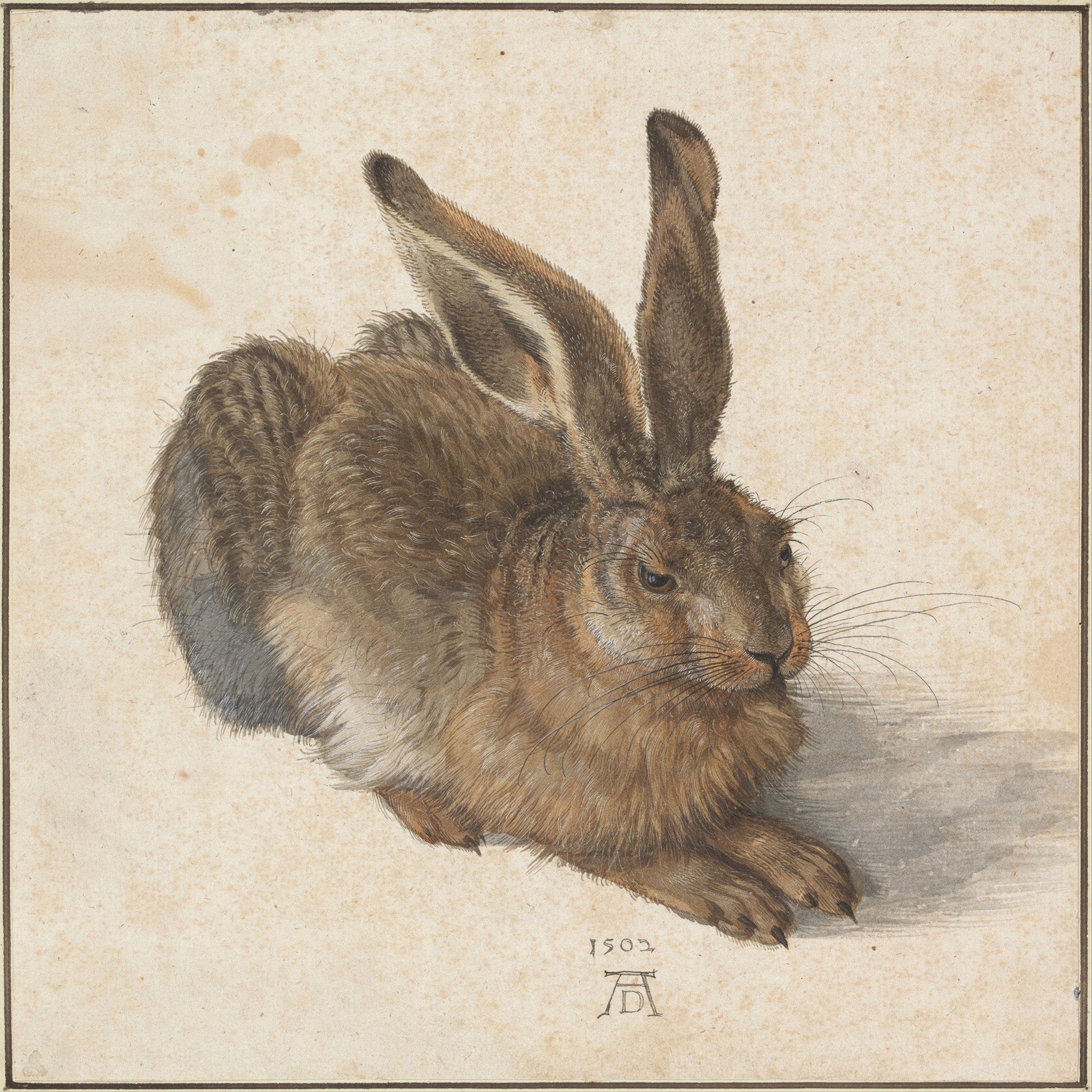 Detailed watercolor painting of a hare by Albrecht DΓΌrer, showcasing intricate fur texture and shading in a classic Renaissance style.