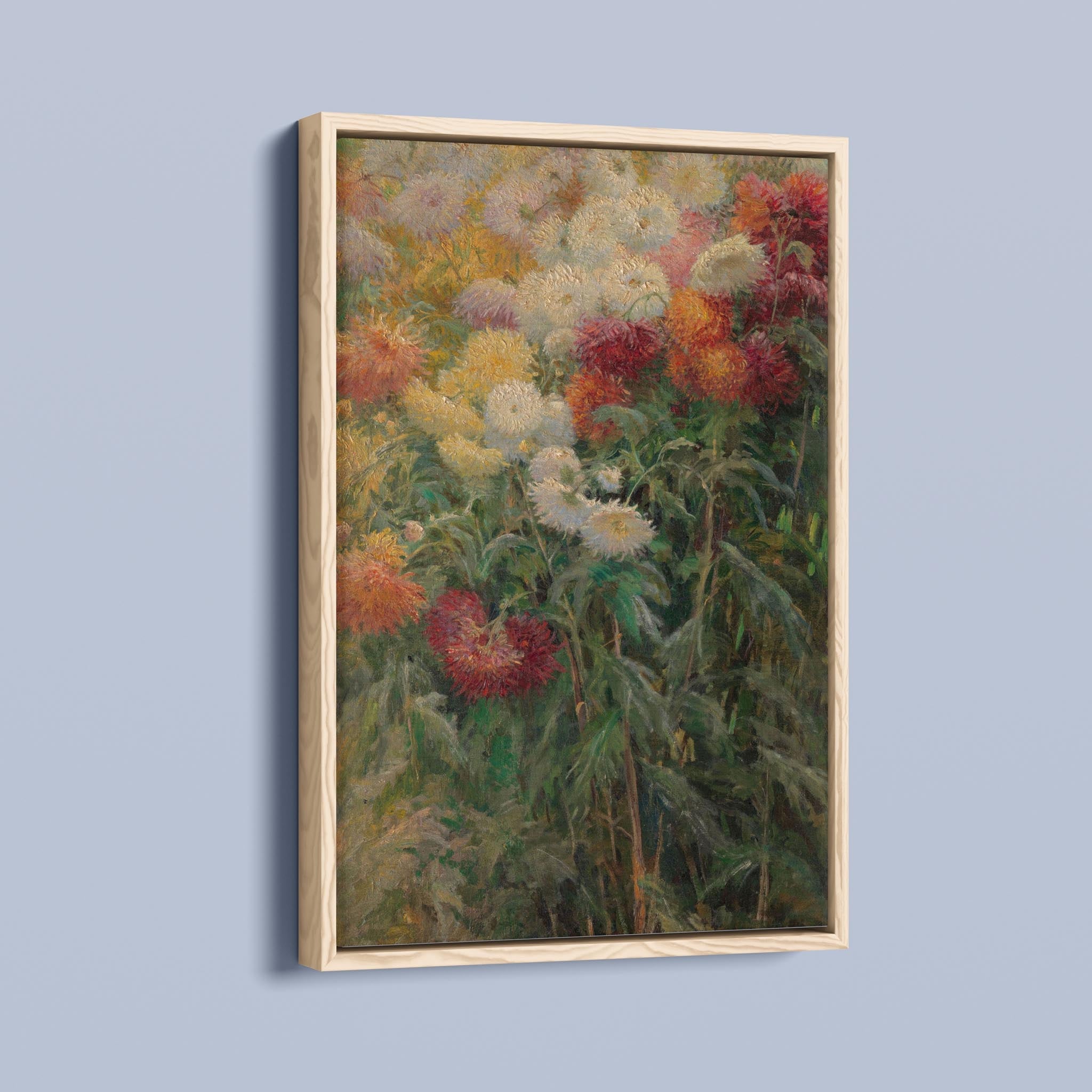 Chrysanthemums in the Garden at Petit-Gennevilliers