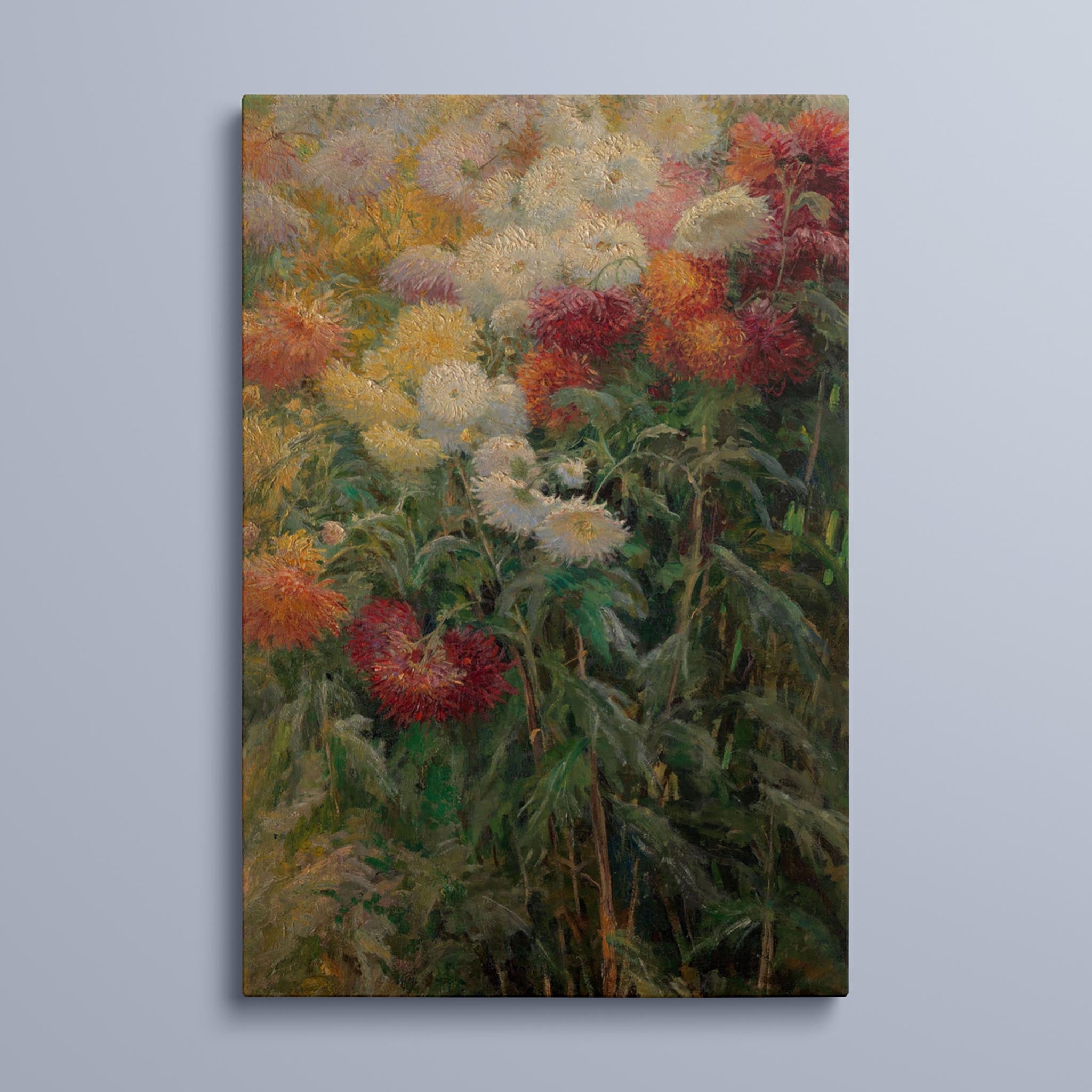 Chrysanthemums in the Garden at Petit-Gennevilliers