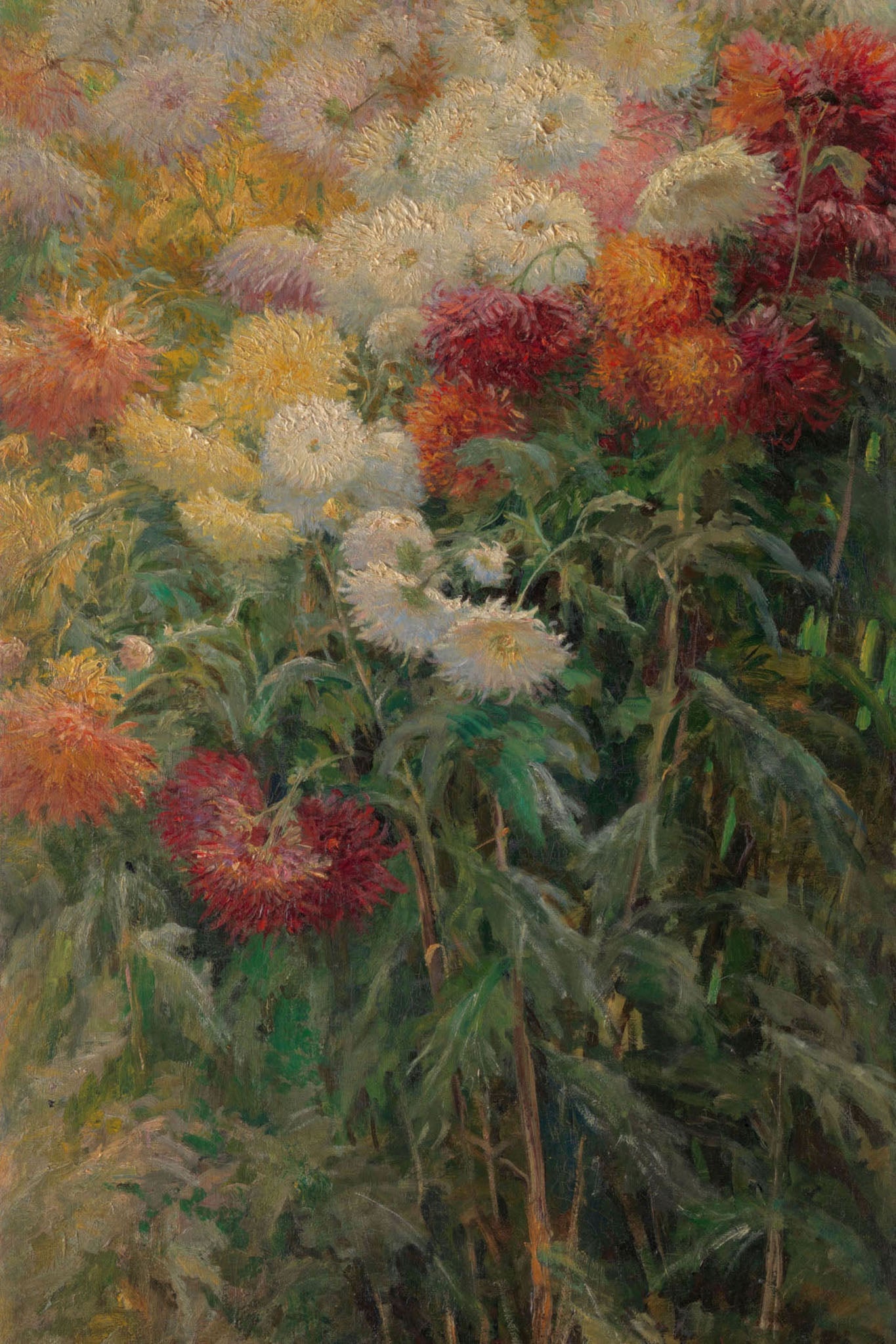19th-century impressionistic painting of chrysanthemums blooming in a lush garden, with vibrant red, rose gold, and white flowers set against green foliage, capturing the serene beauty and rich texture of an autumn European garden.