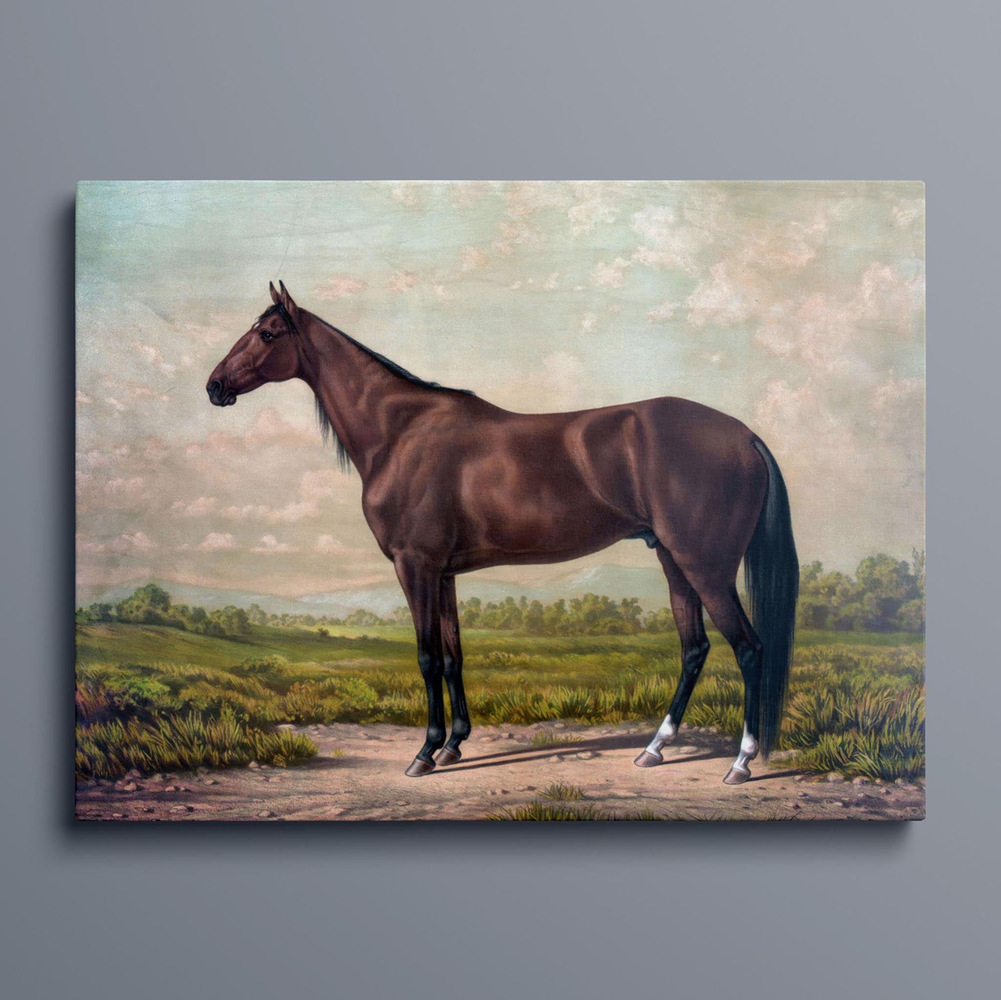 Vintage Horse Painting