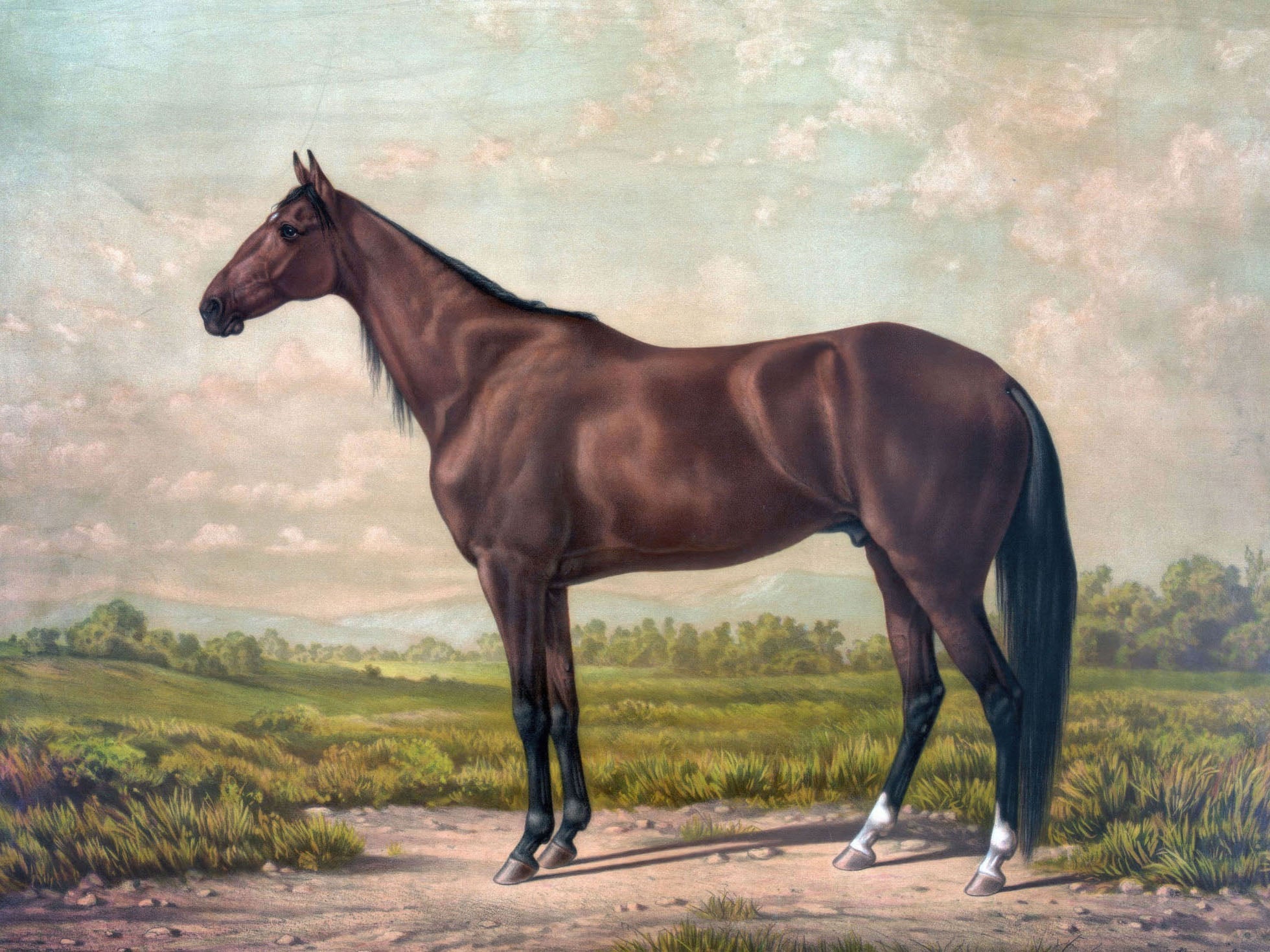 Classic vintage painting of a chestnut horse standing gracefully in a serene grassland, showcasing its elegance and strength with a retro, timeless style.