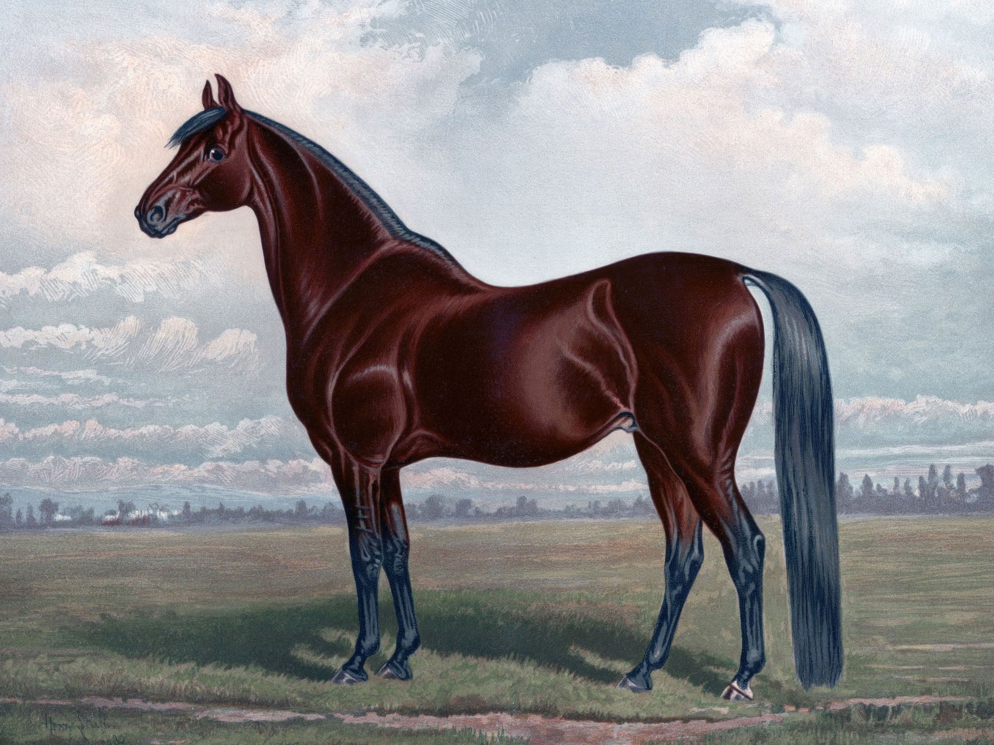 Classic vintage painting of a chestnut horse standing in a serene rural field with an overcast sky, showcasing its powerful elegance and grace in a timeless, lifelike depiction.