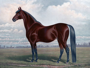 Classic vintage painting of a chestnut horse standing in a serene rural field with an overcast sky, showcasing its powerful elegance and grace in a timeless, lifelike depiction.