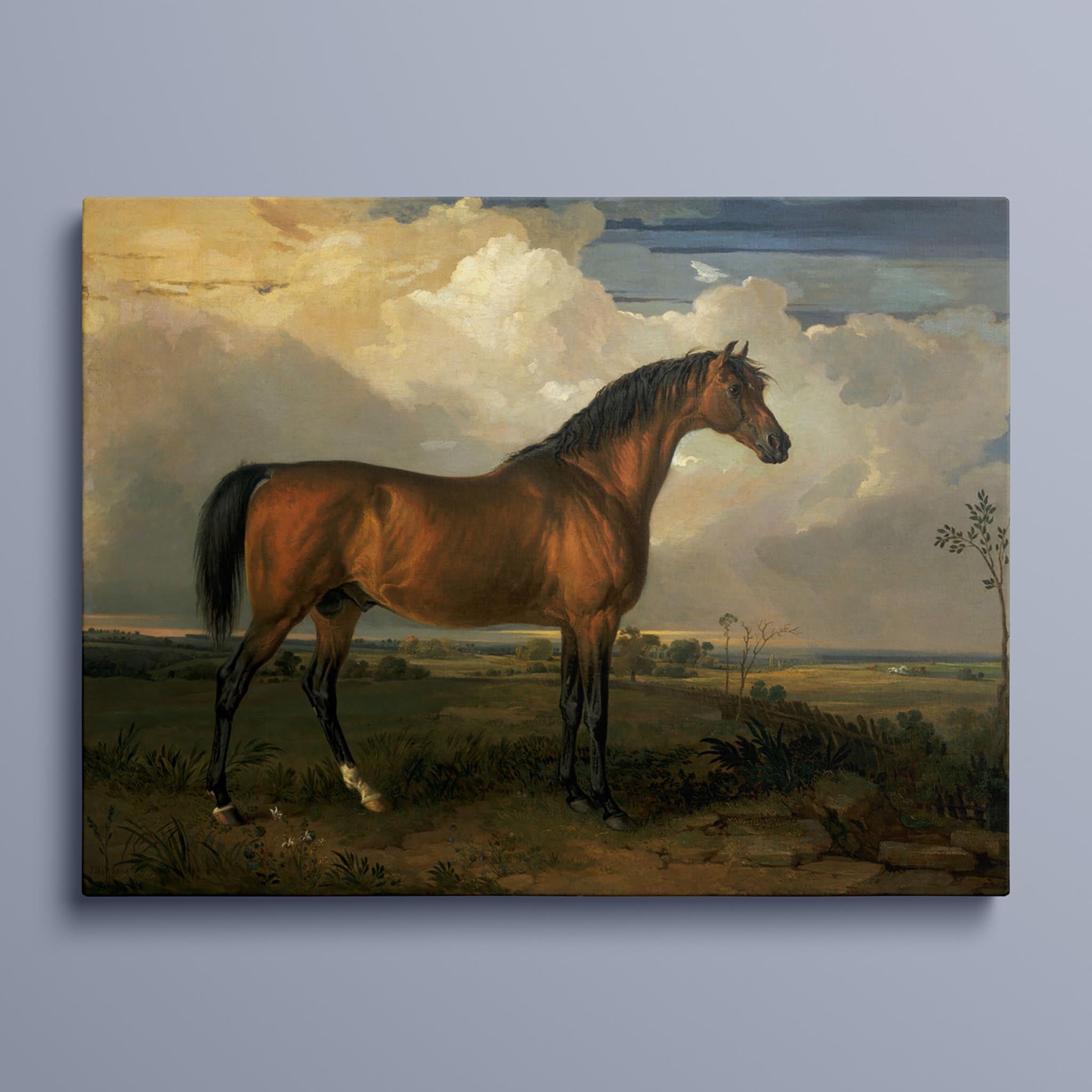 Vintage Horse Painting