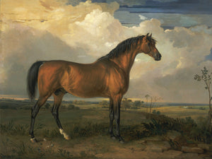 Vintage painting of a majestic horse standing in a tranquil rural field at dusk, featuring serene hues of beige, brown, and gray with a calm horizon and gentle clouds.
