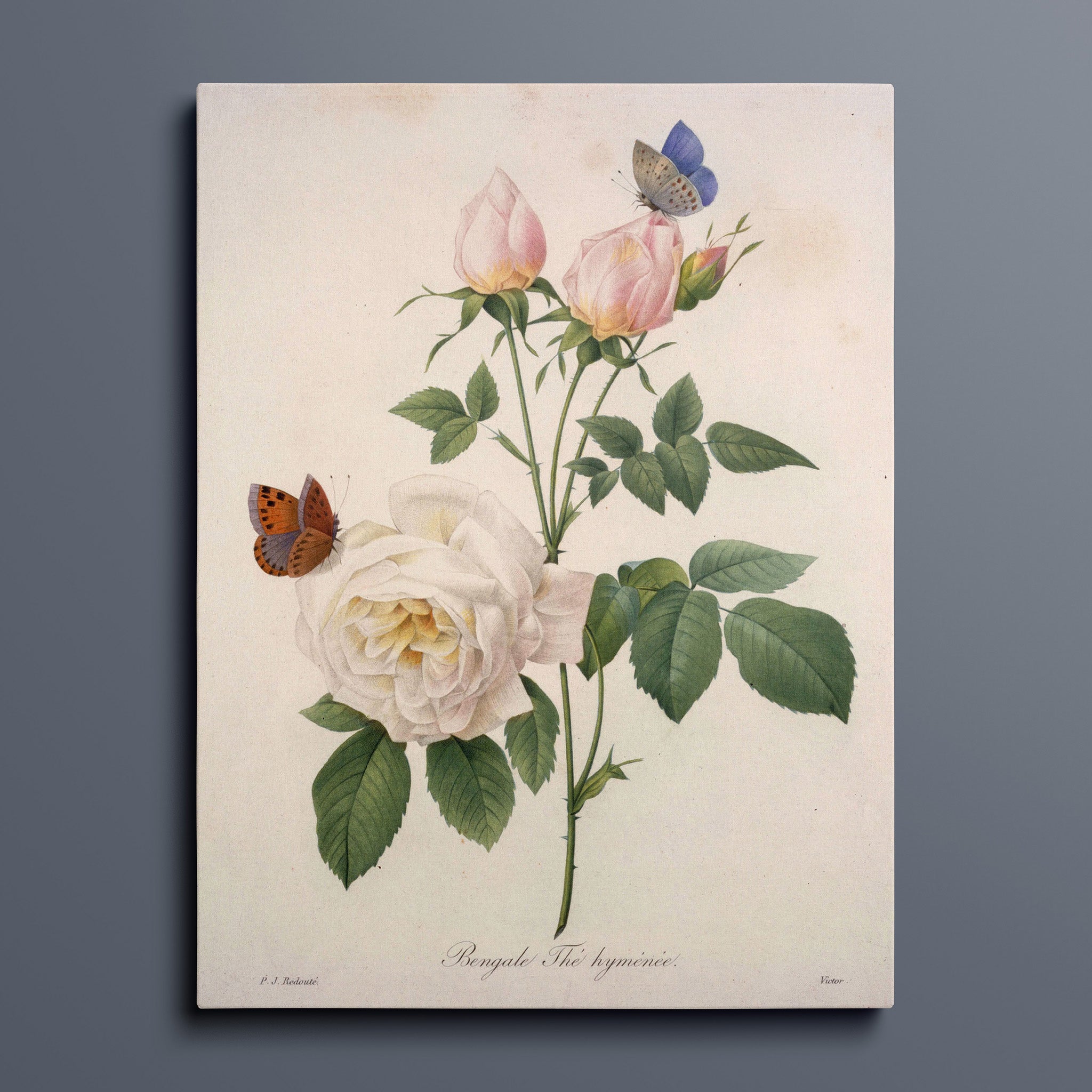 Vintage Horse Painting