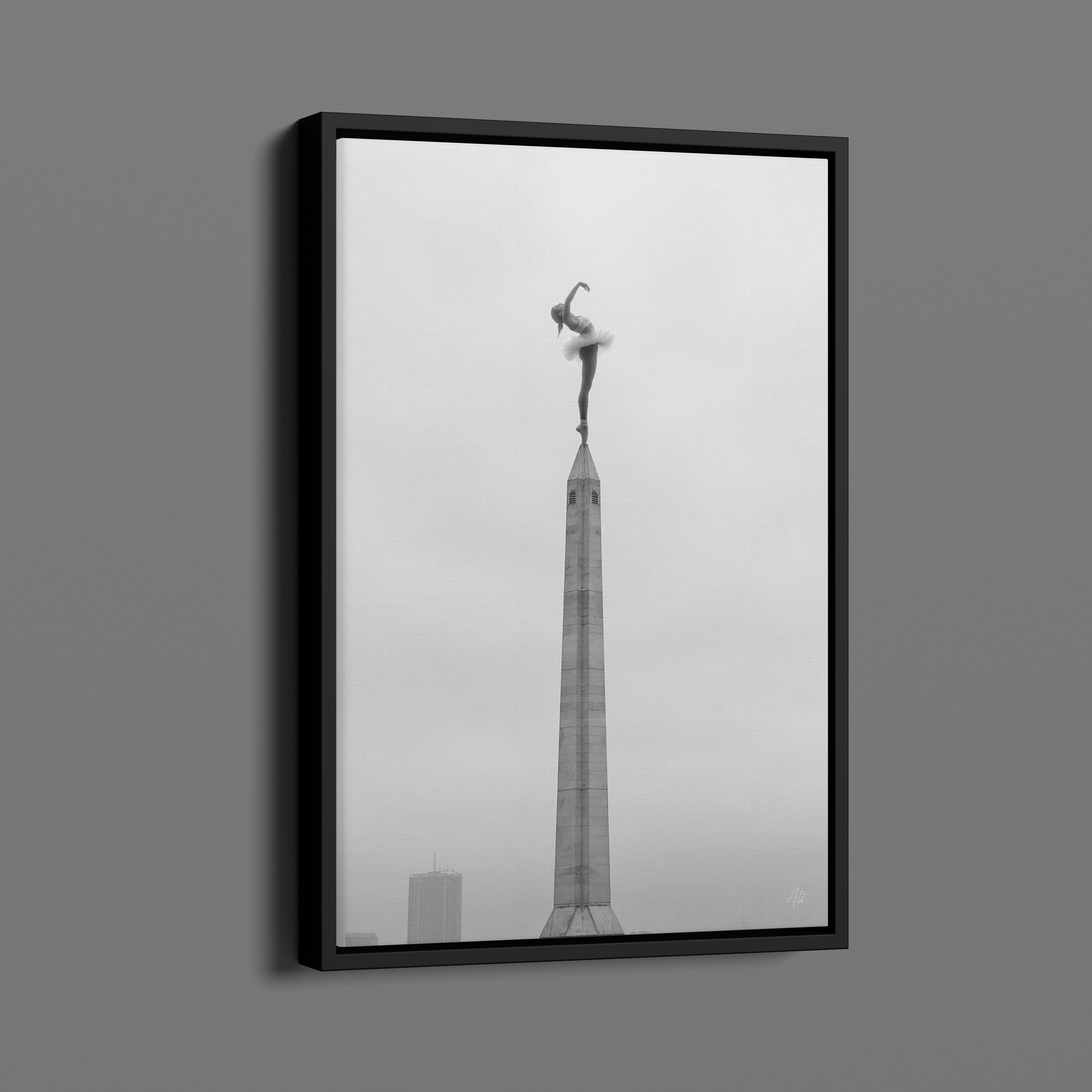 Zenith - Room for One