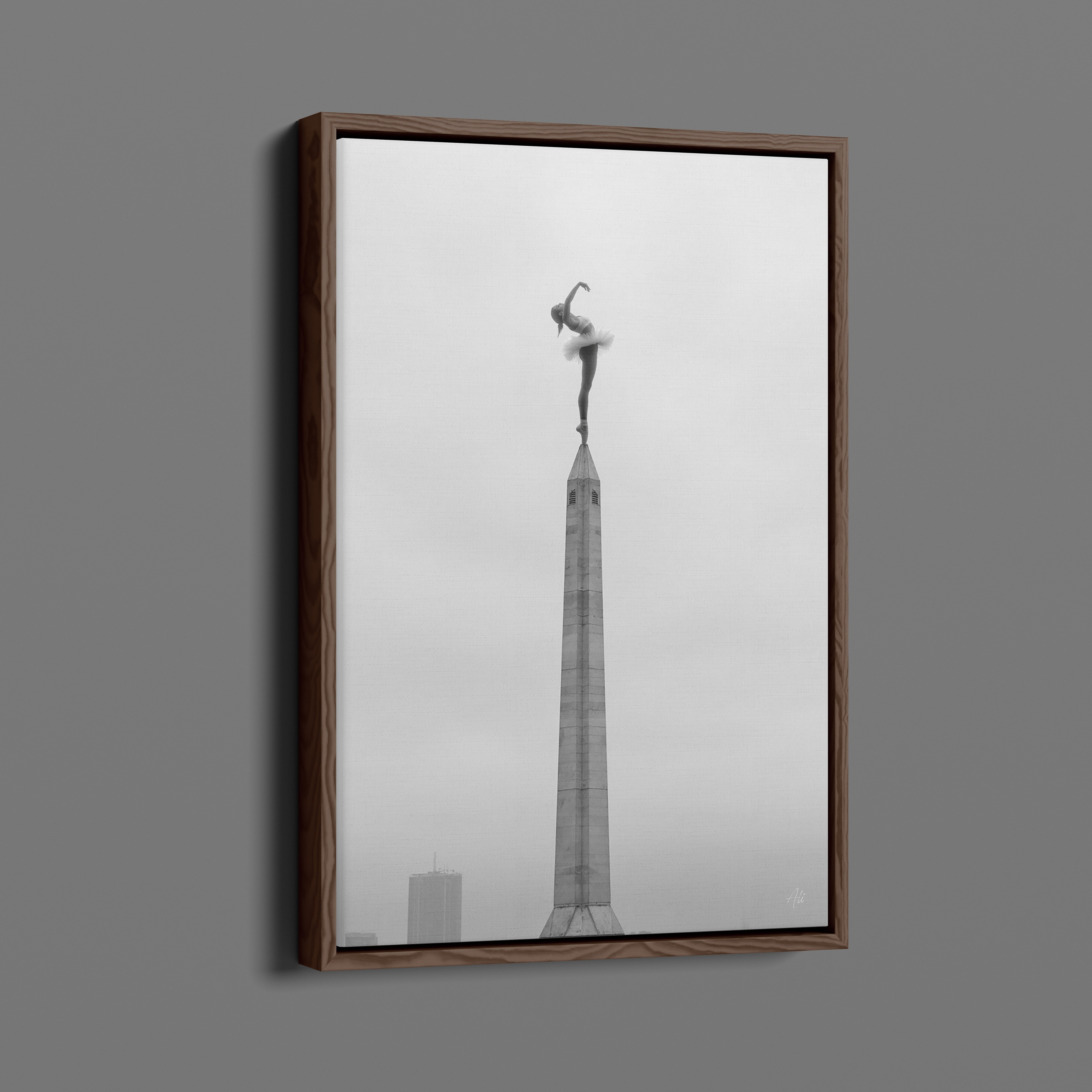 Zenith - Room for One