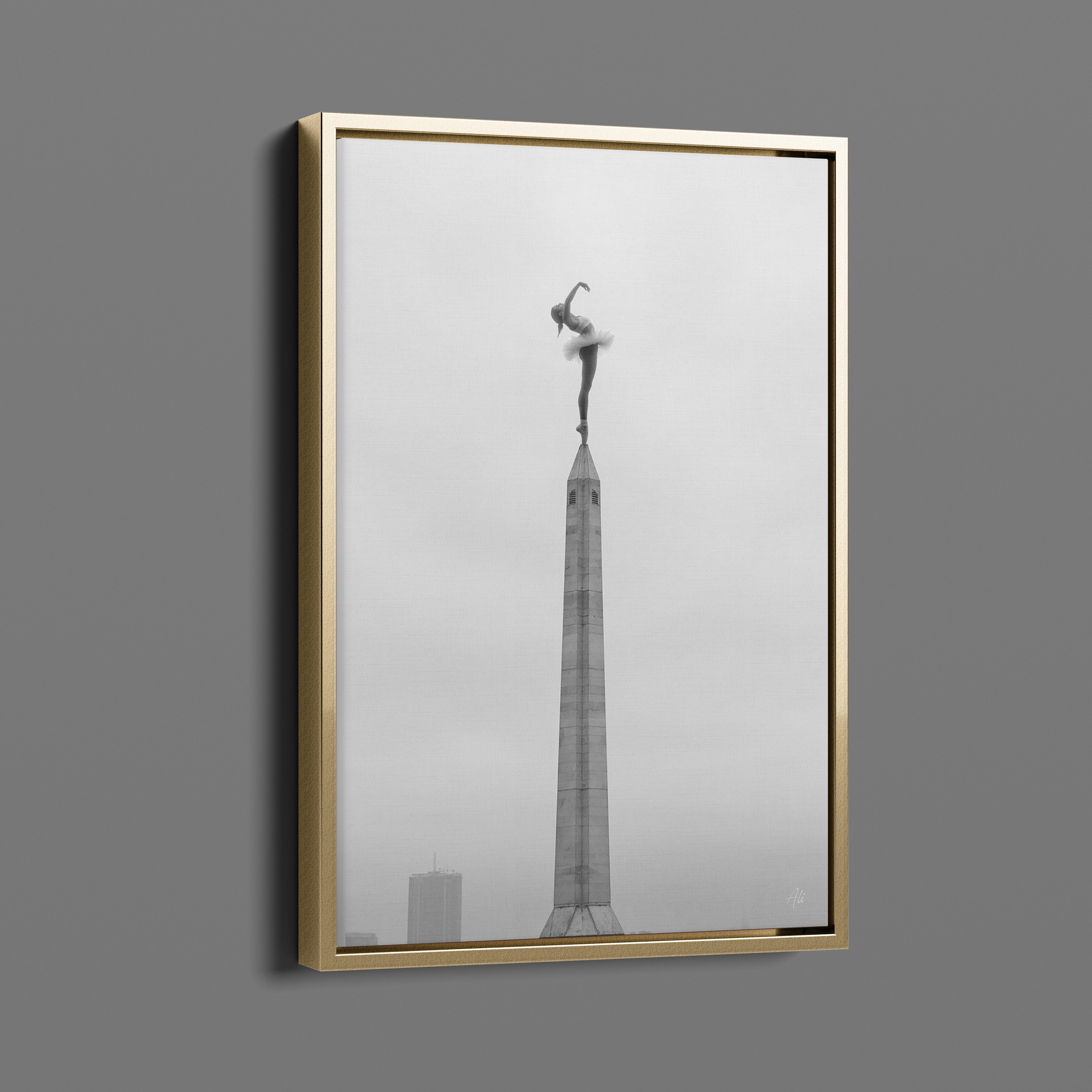 Zenith - Room for One