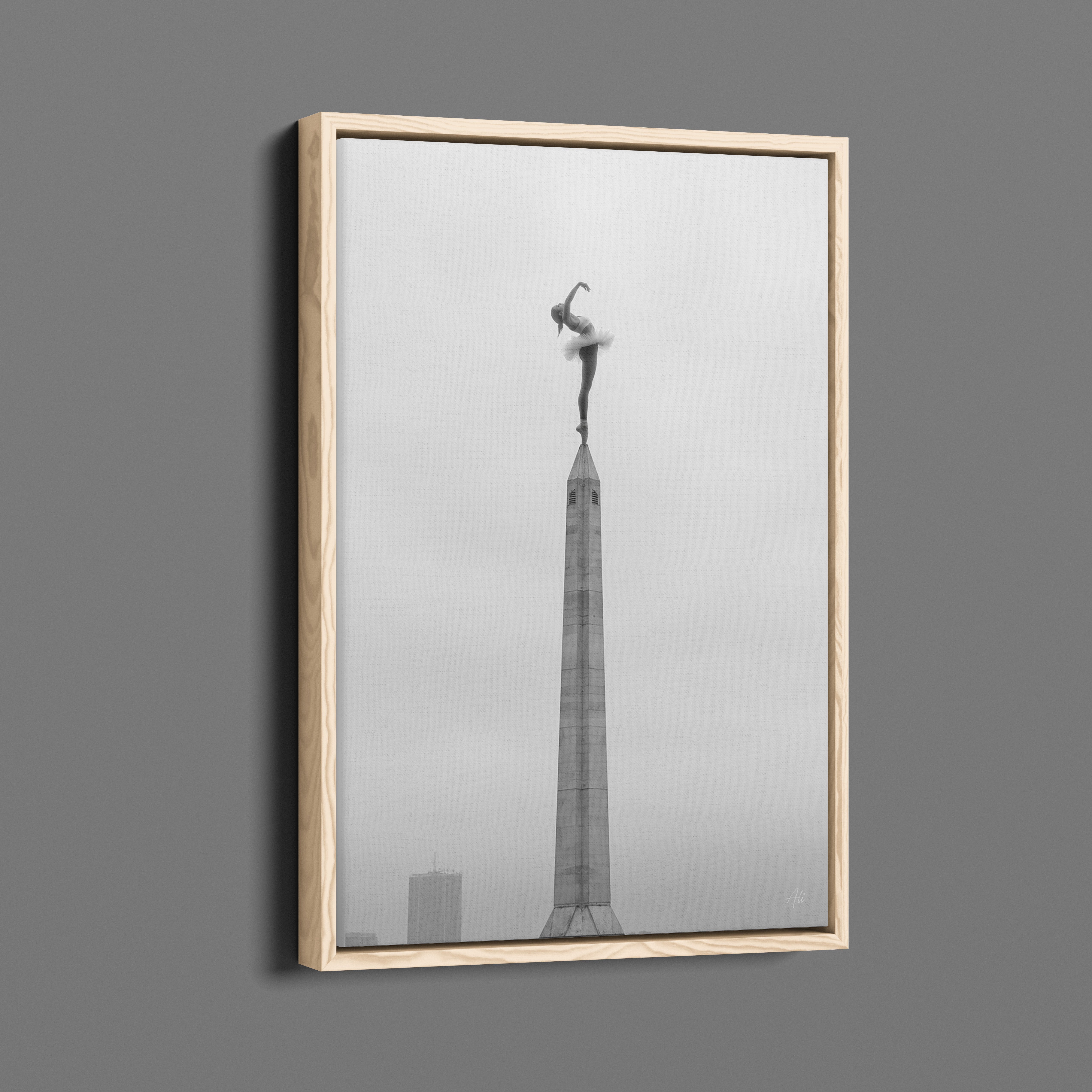 Zenith - Room for One