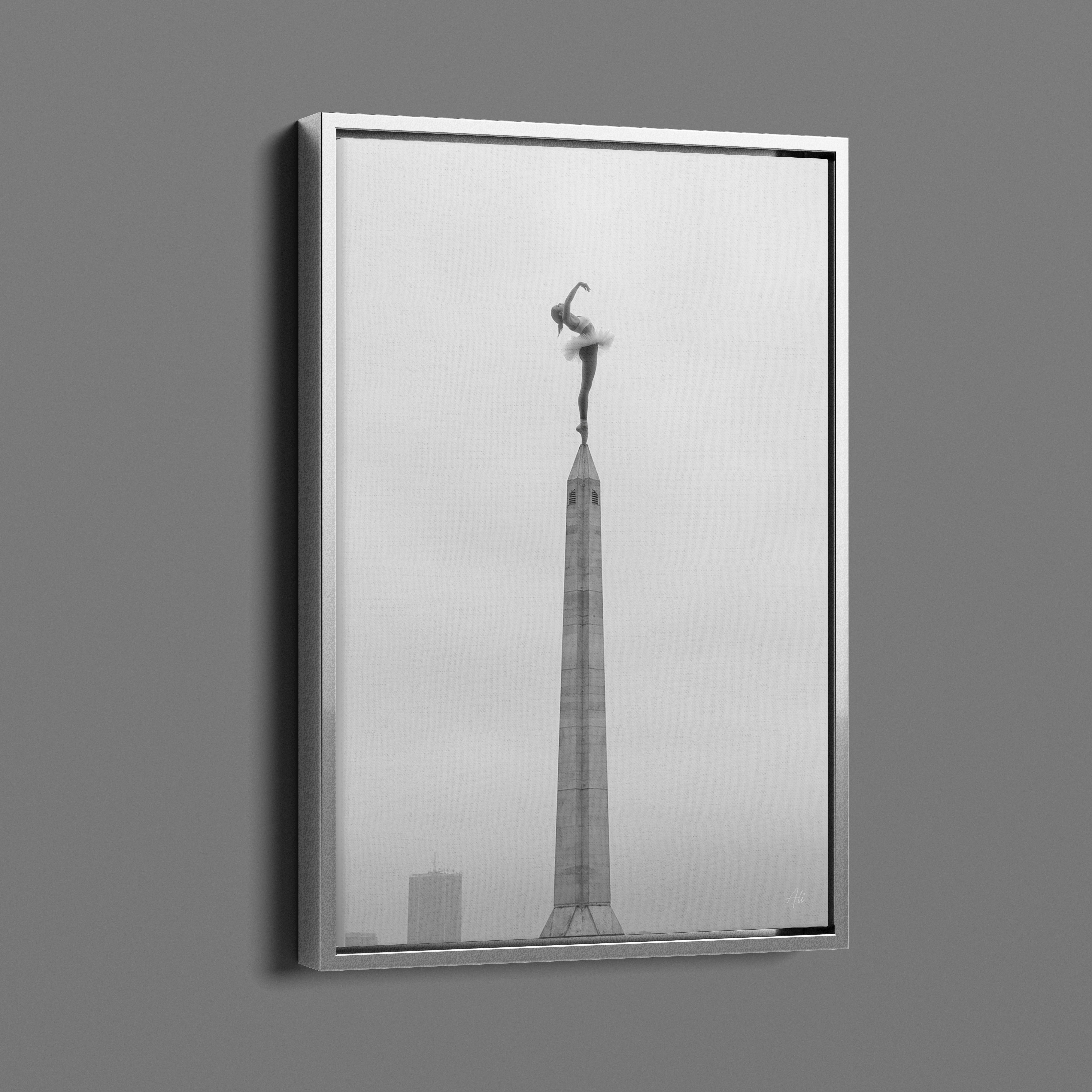 Zenith - Room for One