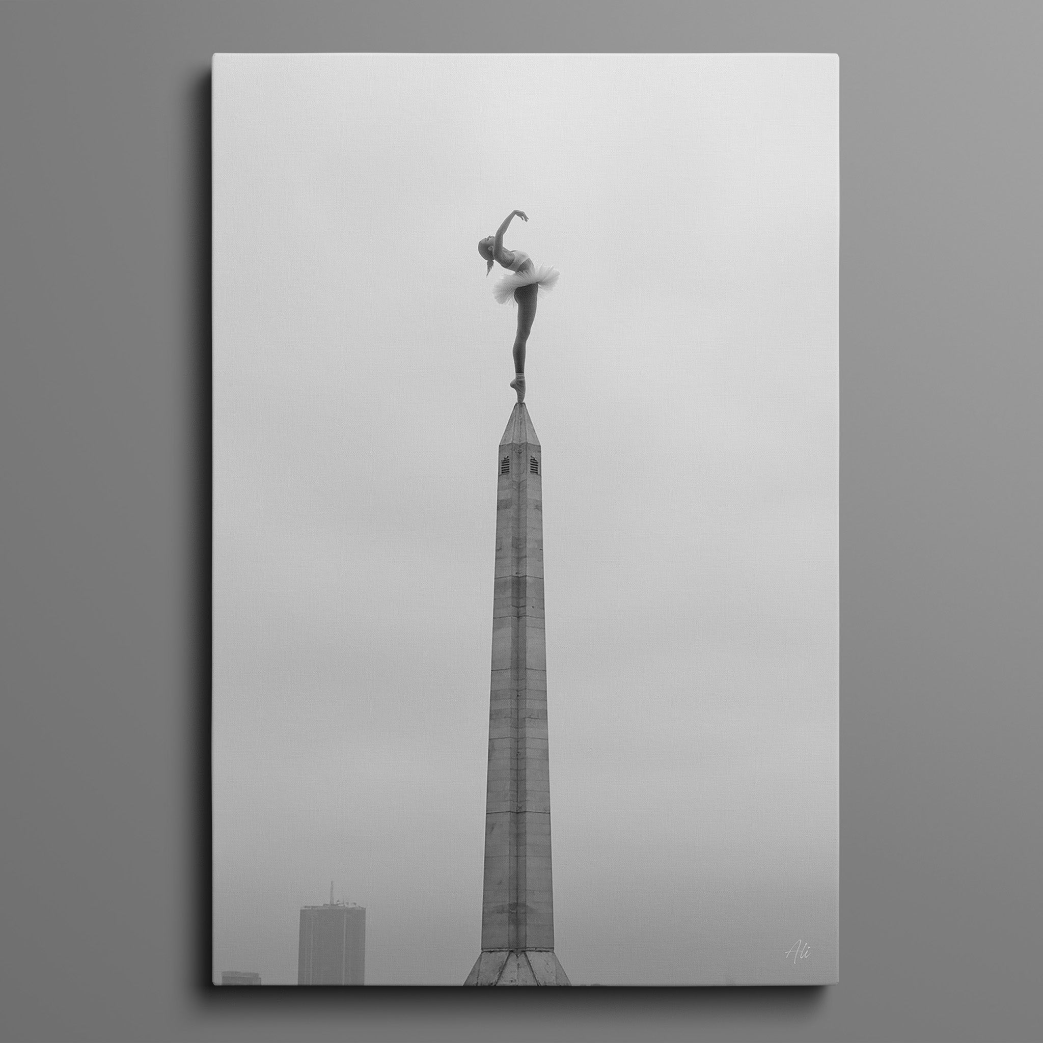 Zenith - Room for One