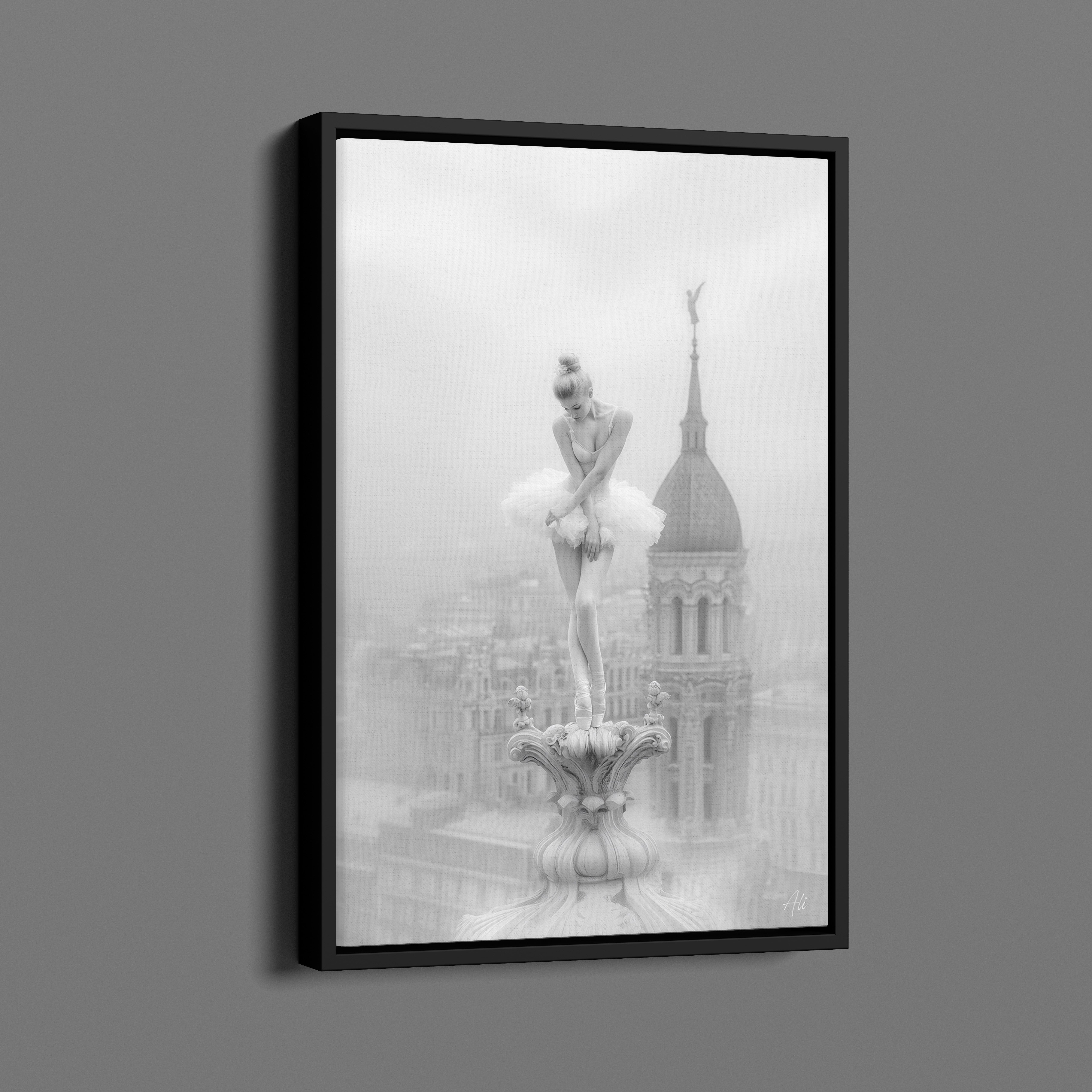 Ballerine Rougissante - Blushing Ballerina