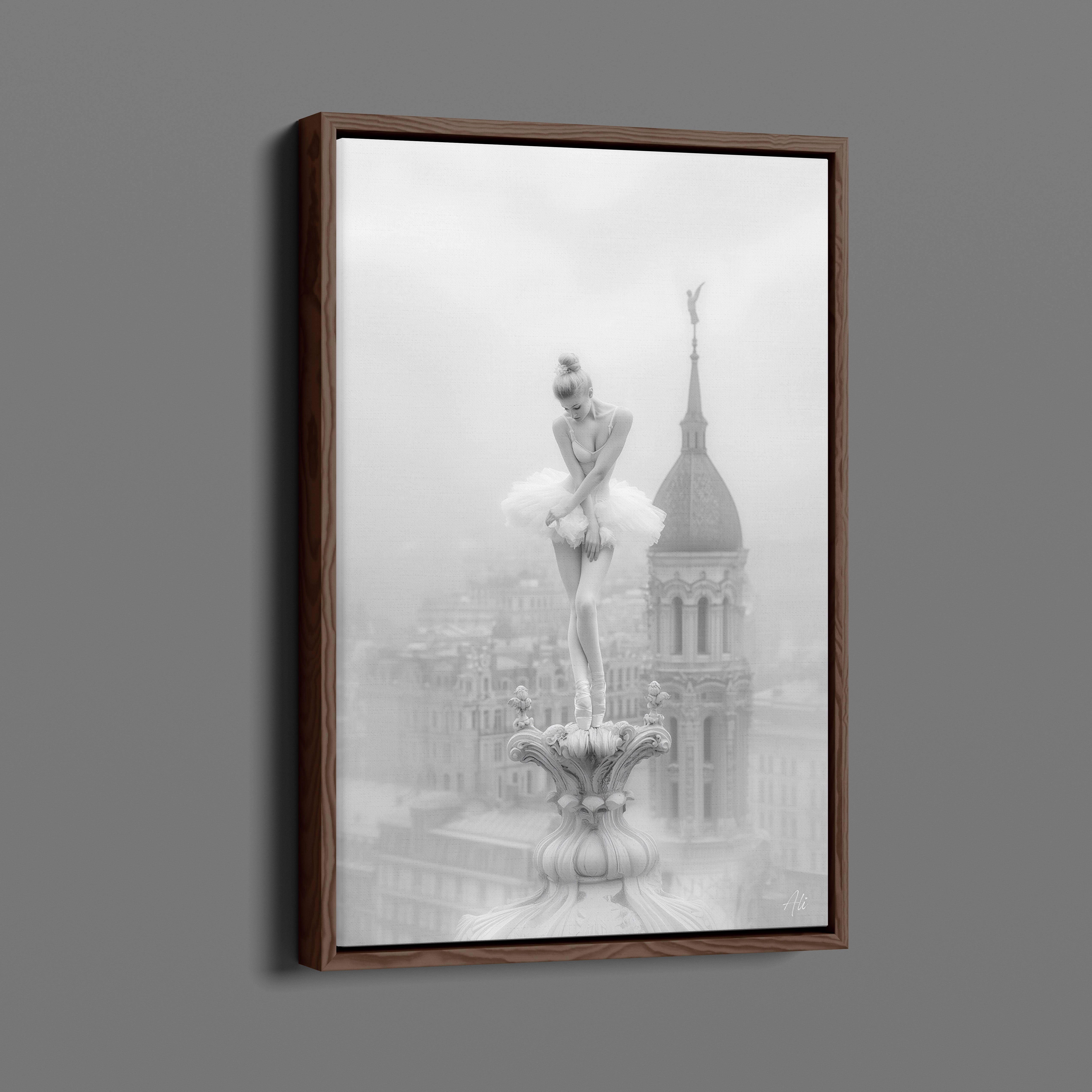 Ballerine Rougissante - Blushing Ballerina