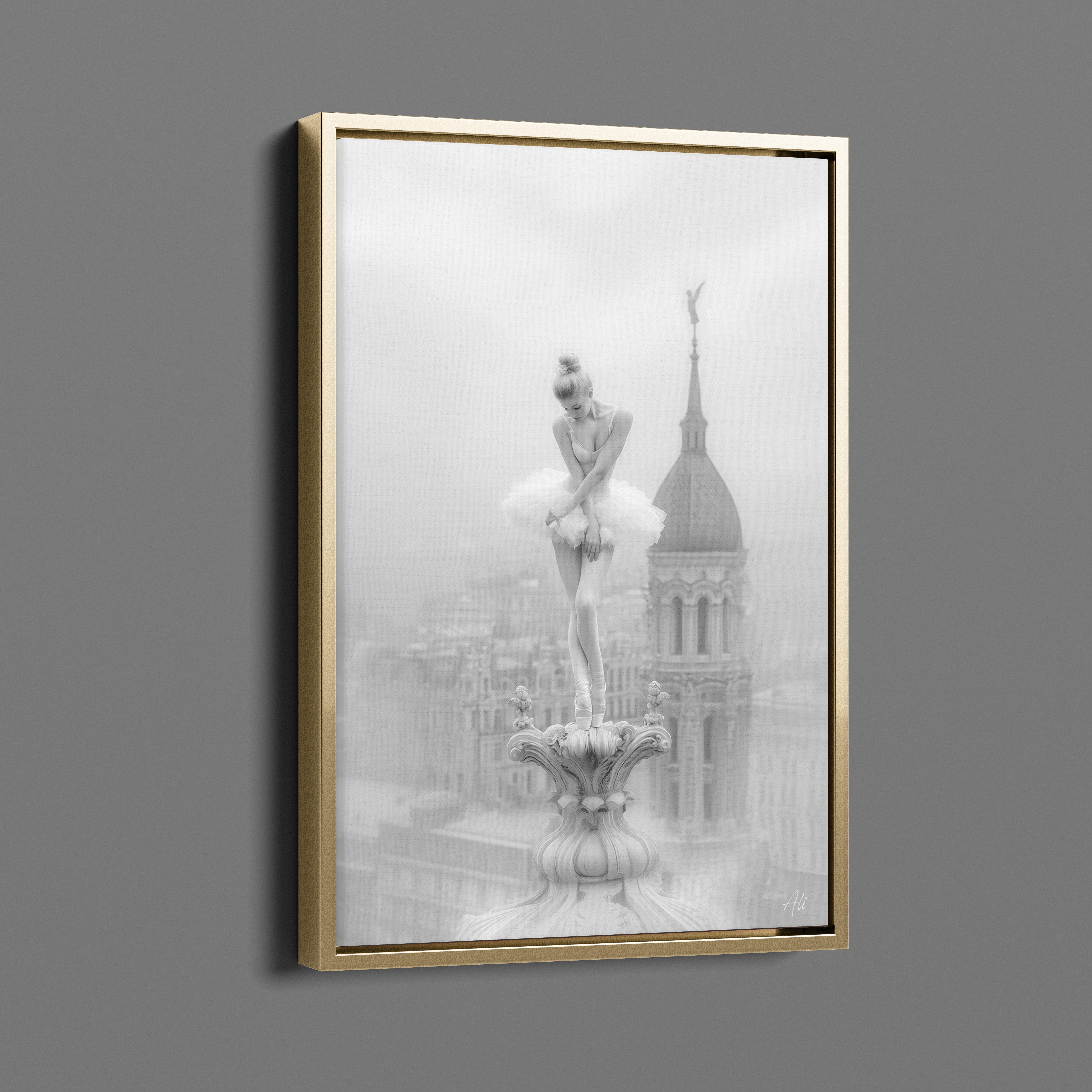 Ballerine Rougissante - Blushing Ballerina