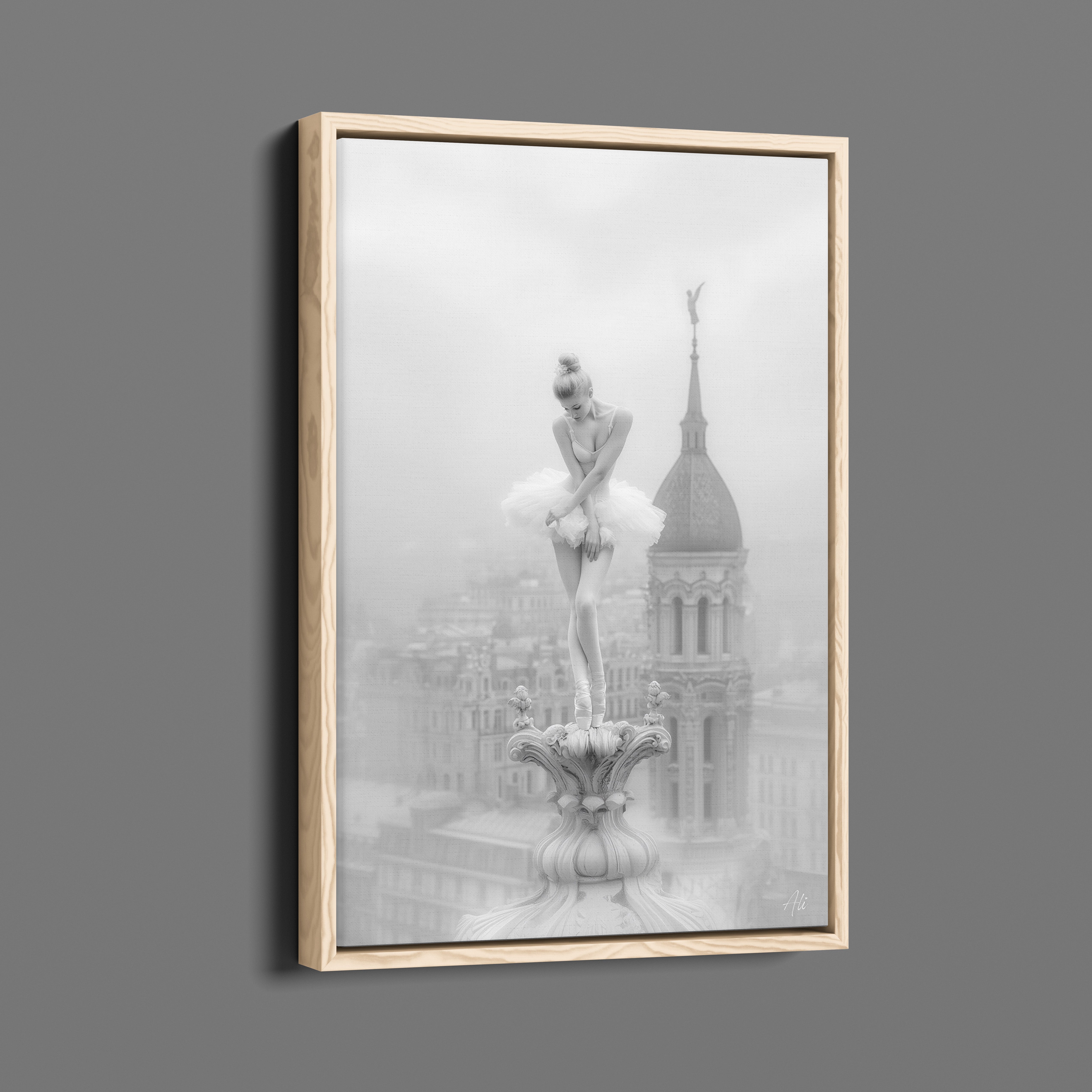 Ballerine Rougissante - Blushing Ballerina