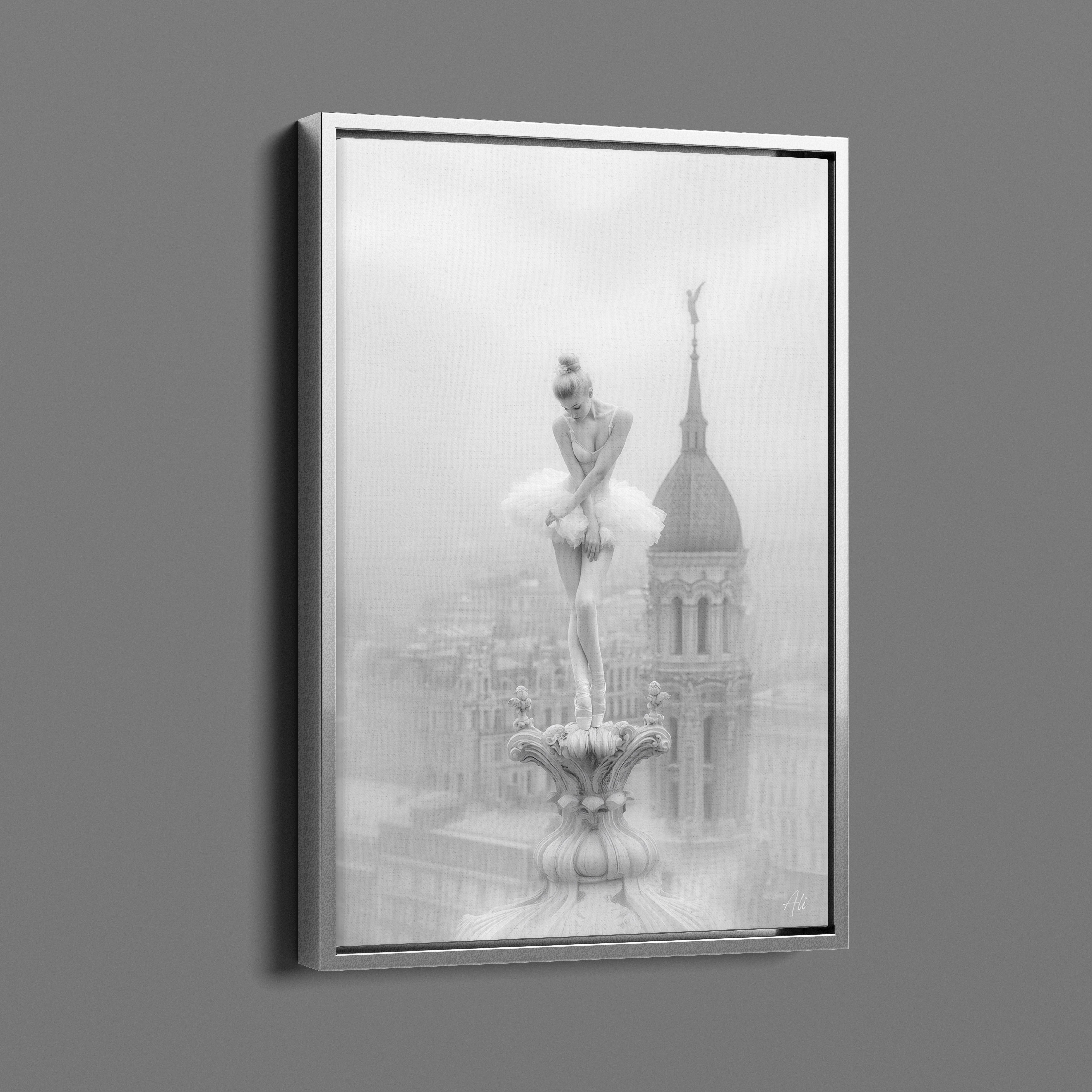 Ballerine Rougissante - Blushing Ballerina