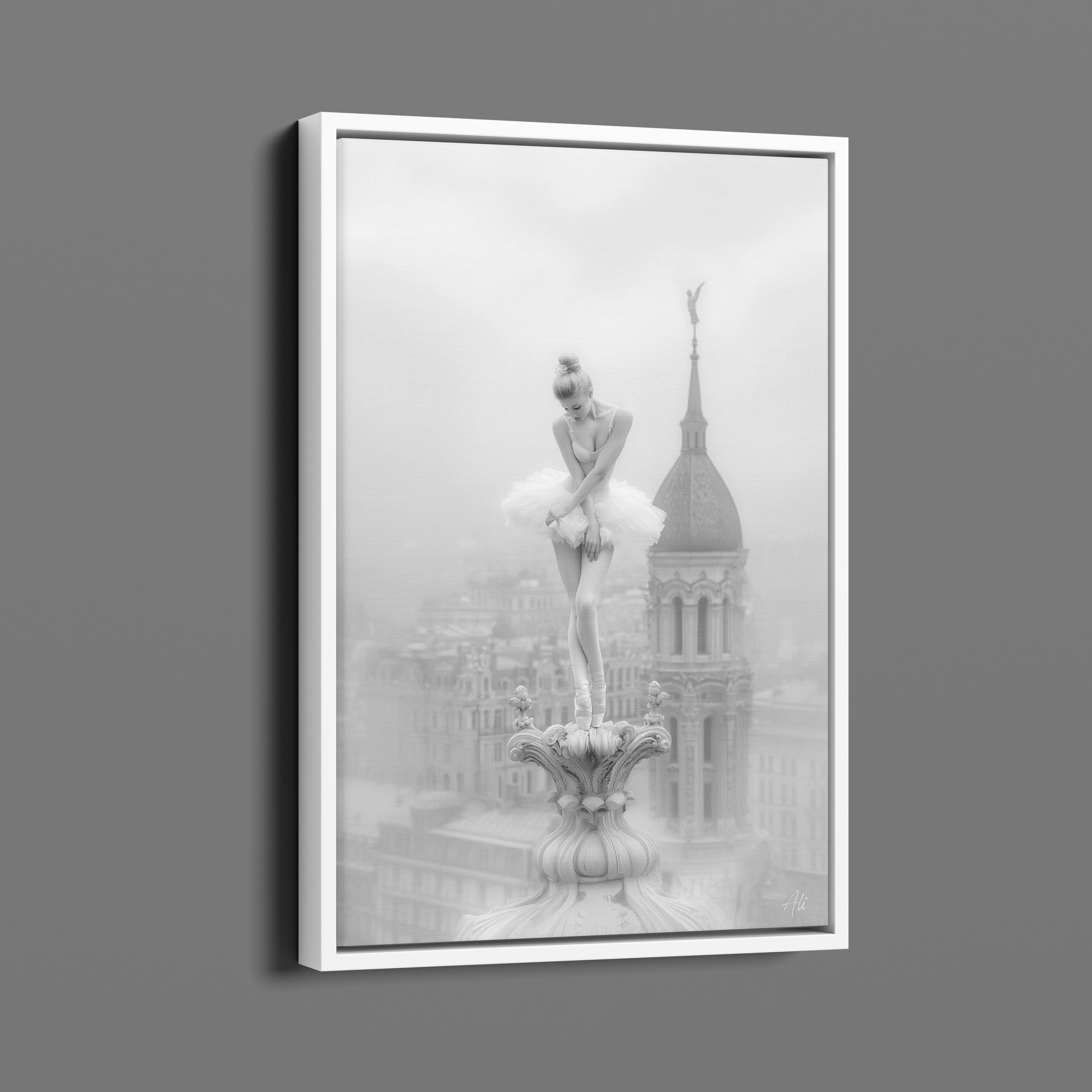 Ballerine Rougissante - Blushing Ballerina