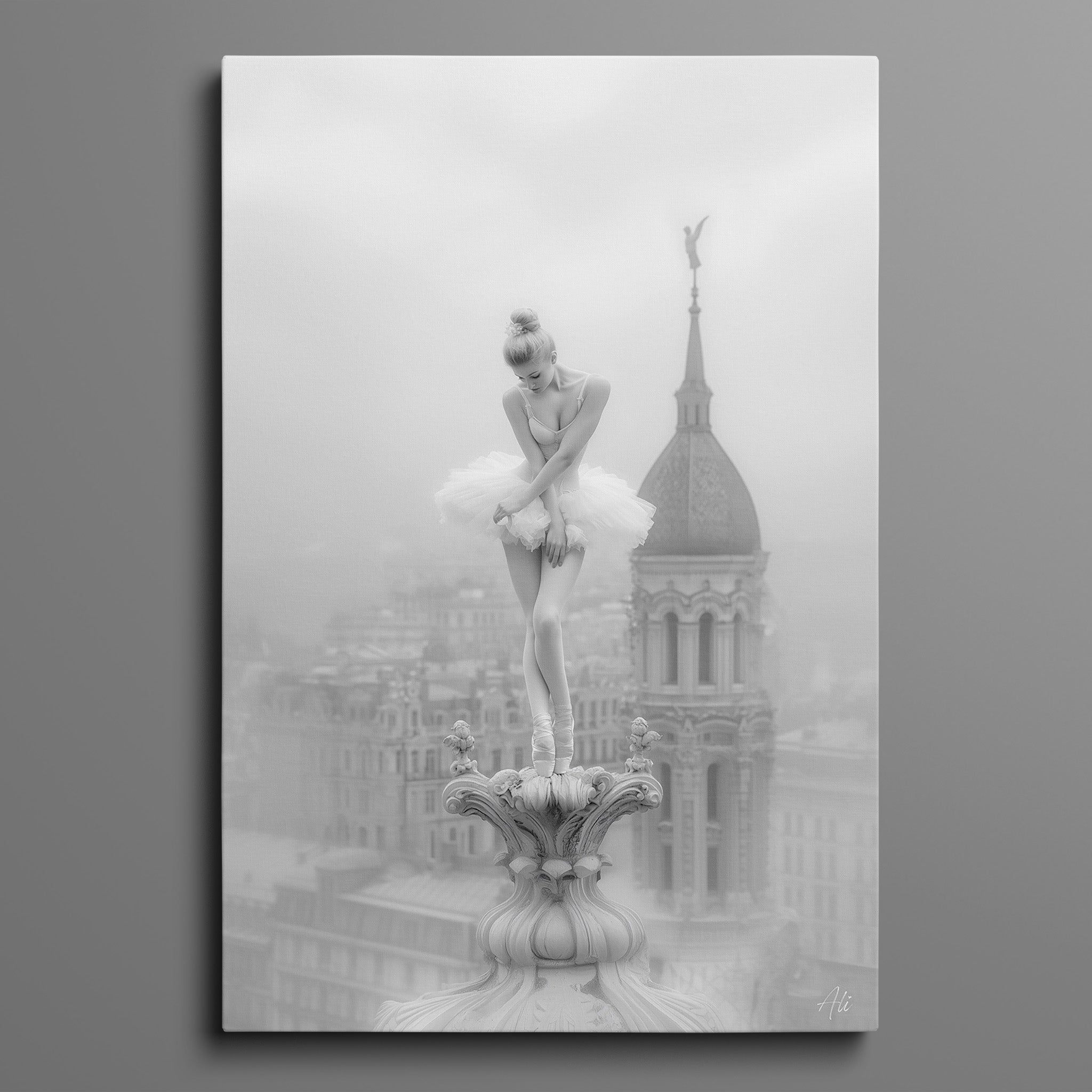 Ballerine Rougissante - Blushing Ballerina