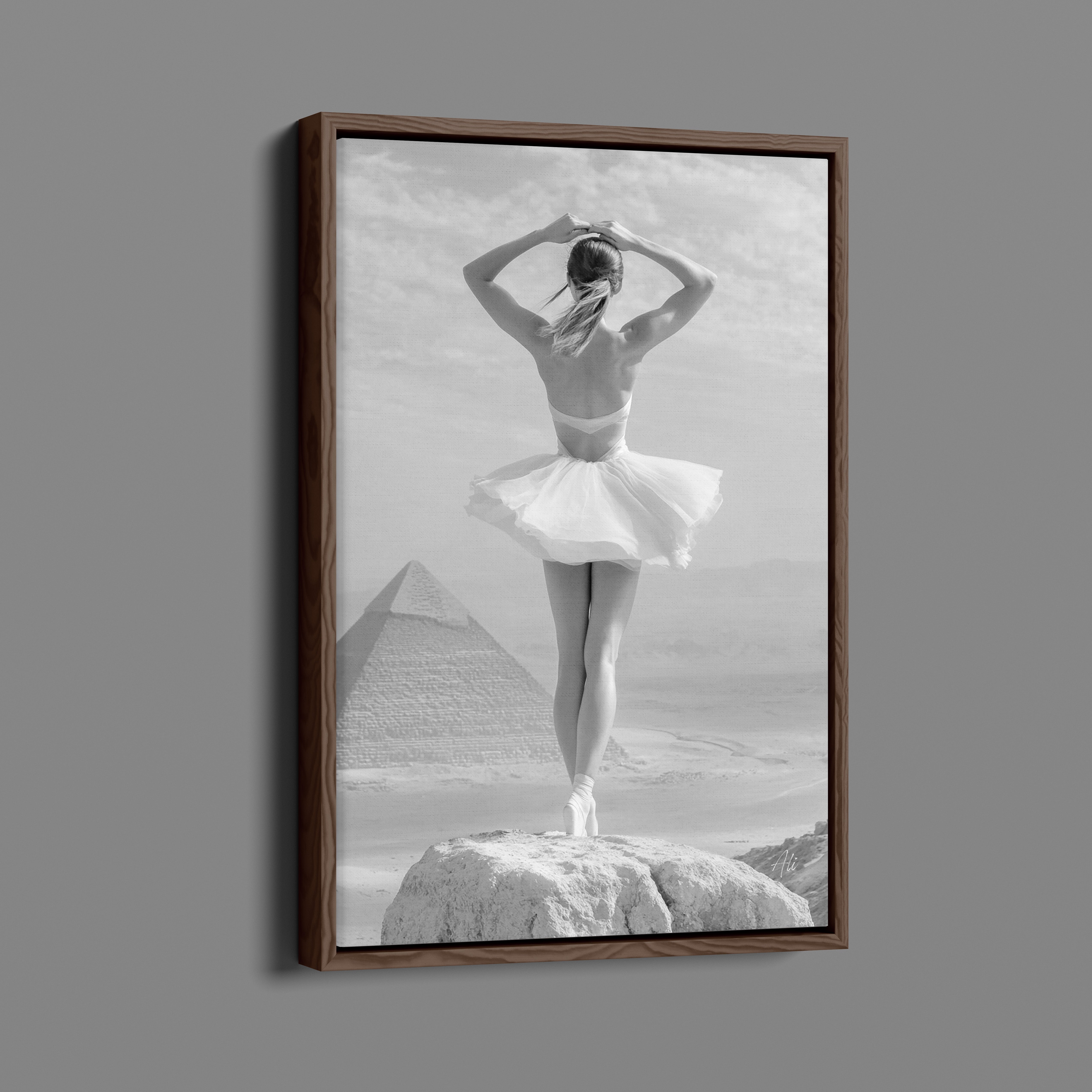 Edge of Infinity - A Weightless Vista Over Giza