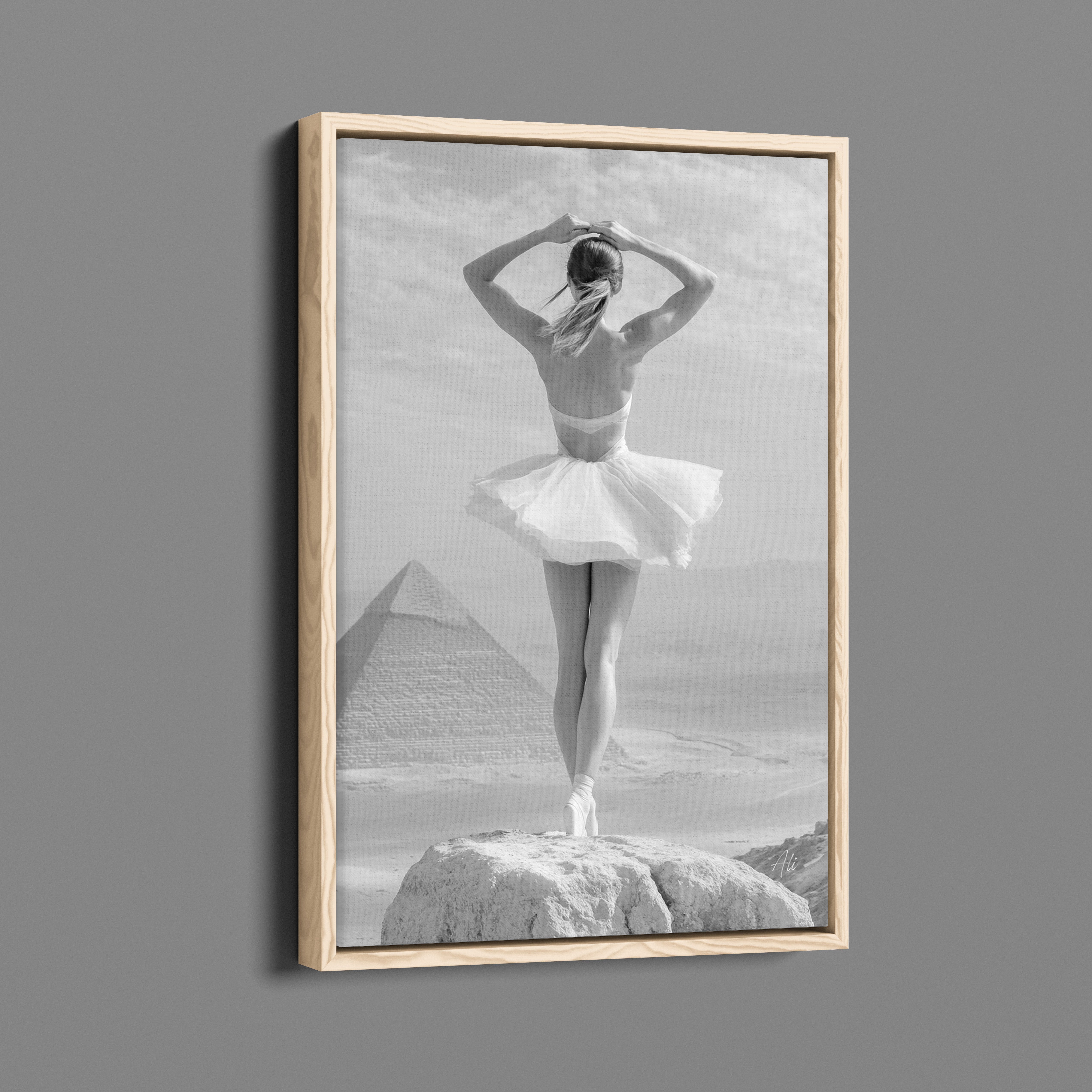 Edge of Infinity - A Weightless Vista Over Giza