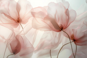 Large horizontal botanical art print featuring multiple semi-transparent blush pink flowers with visible petal veins and dusty rose stamens, layered on graceful curved stems against a soft luminous white background, creating a dreamlike, ethereal depth.