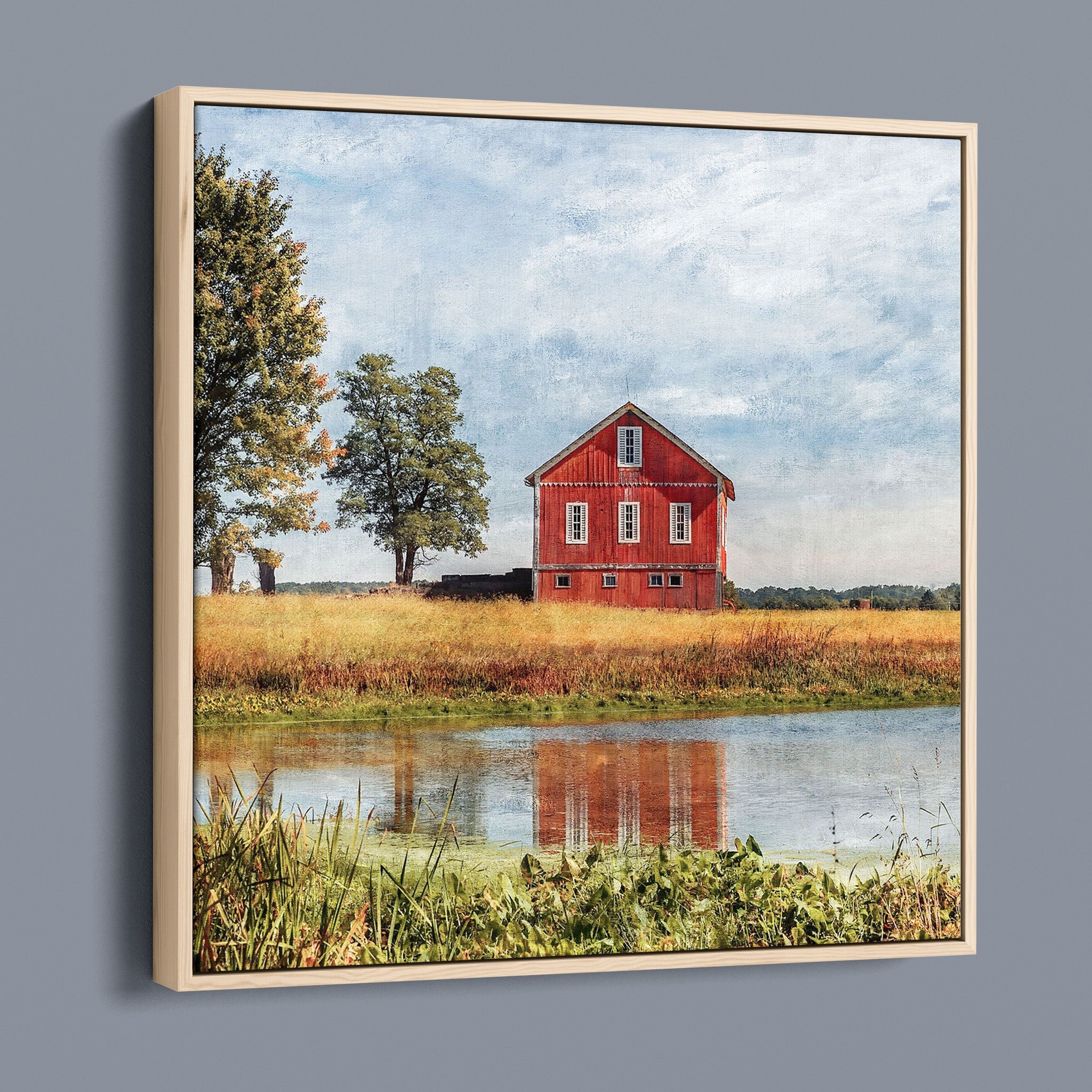 Red Barn Beside Tree - Beach City OH United States
