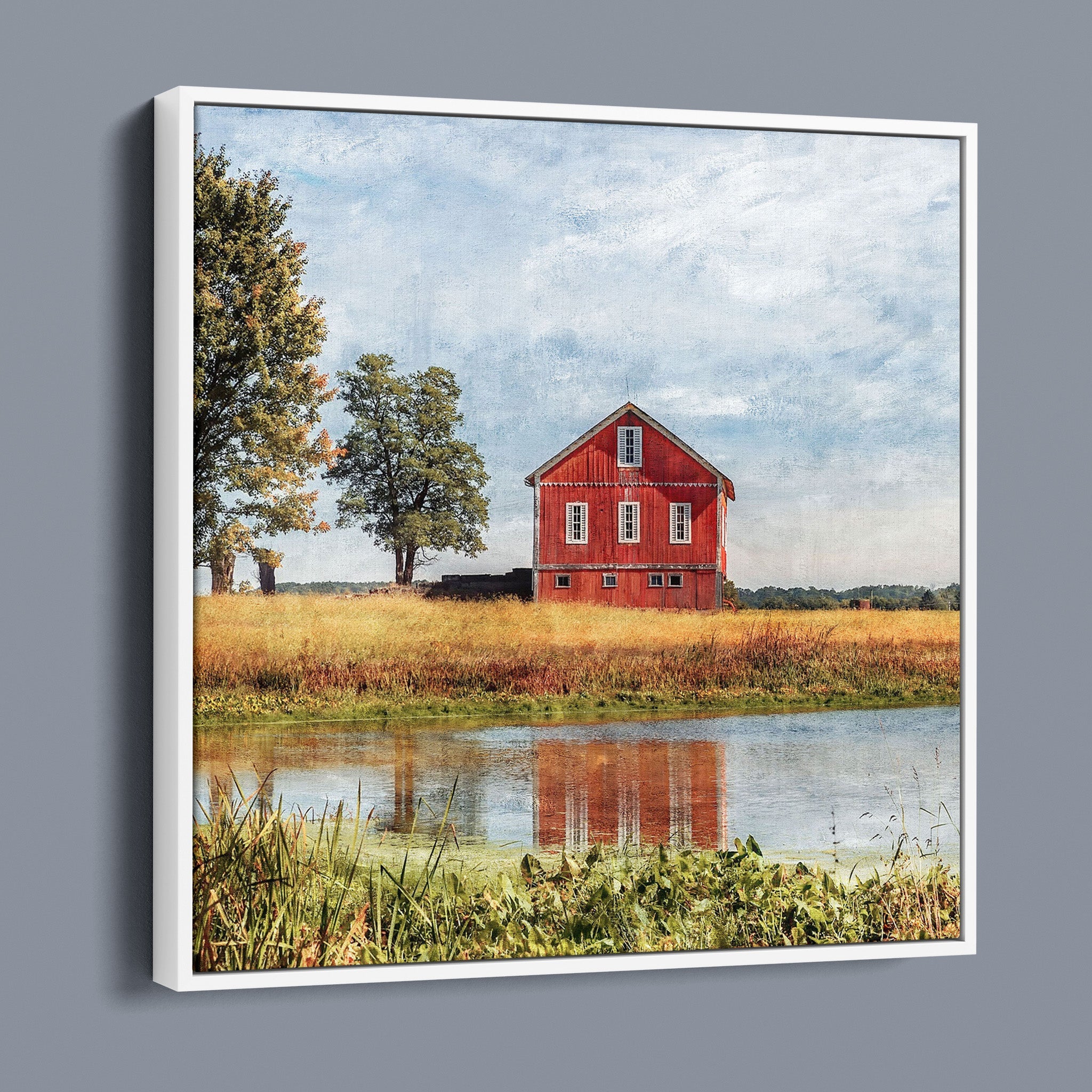 Red Barn Beside Tree - Beach City OH United States