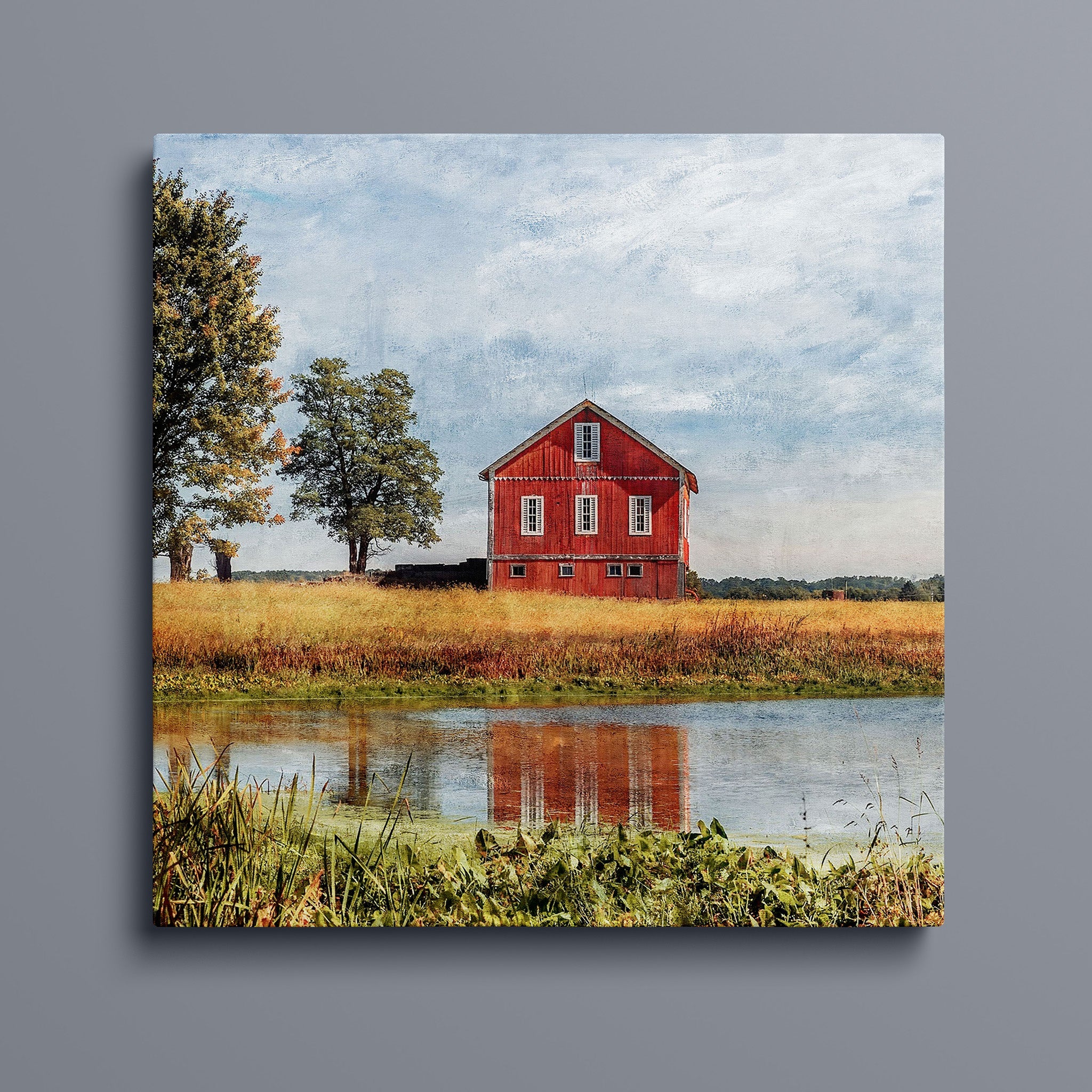 Red Barn Beside Tree - Beach City OH United States