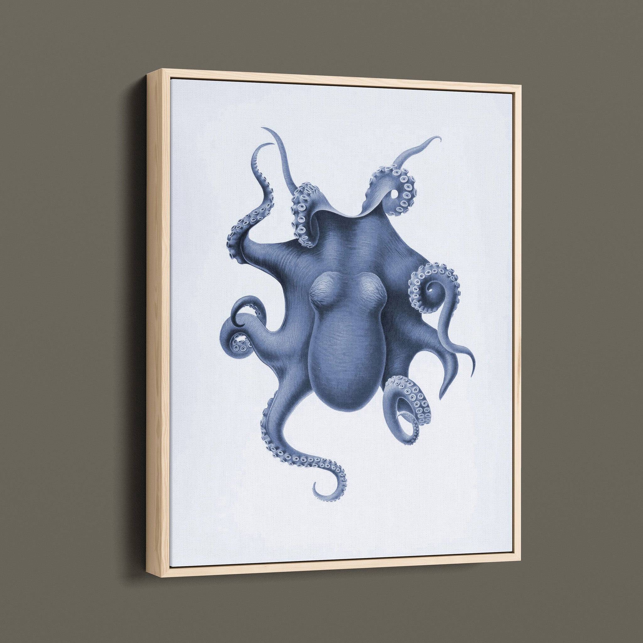 Vintage Octopus Illustration
