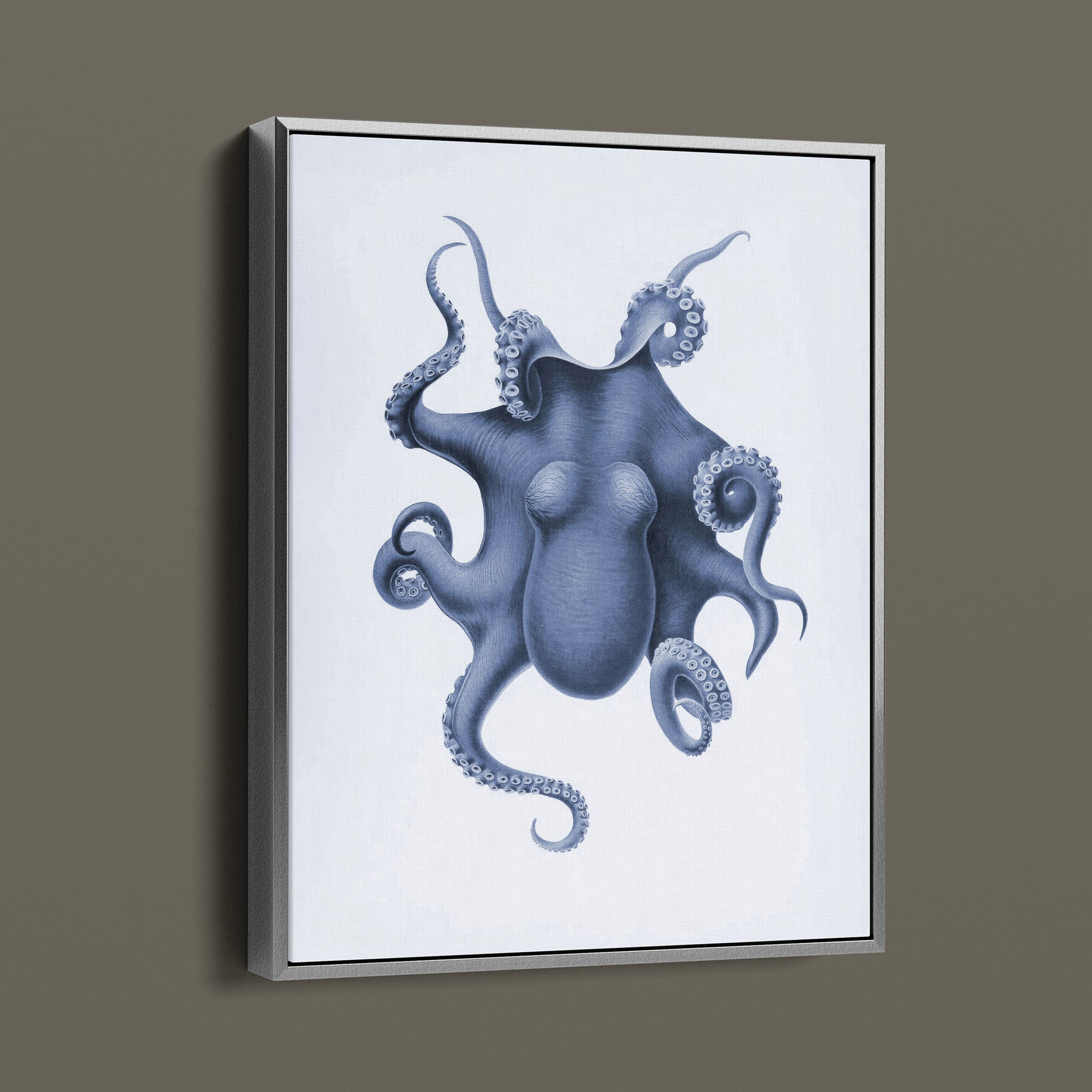 Vintage Octopus Illustration