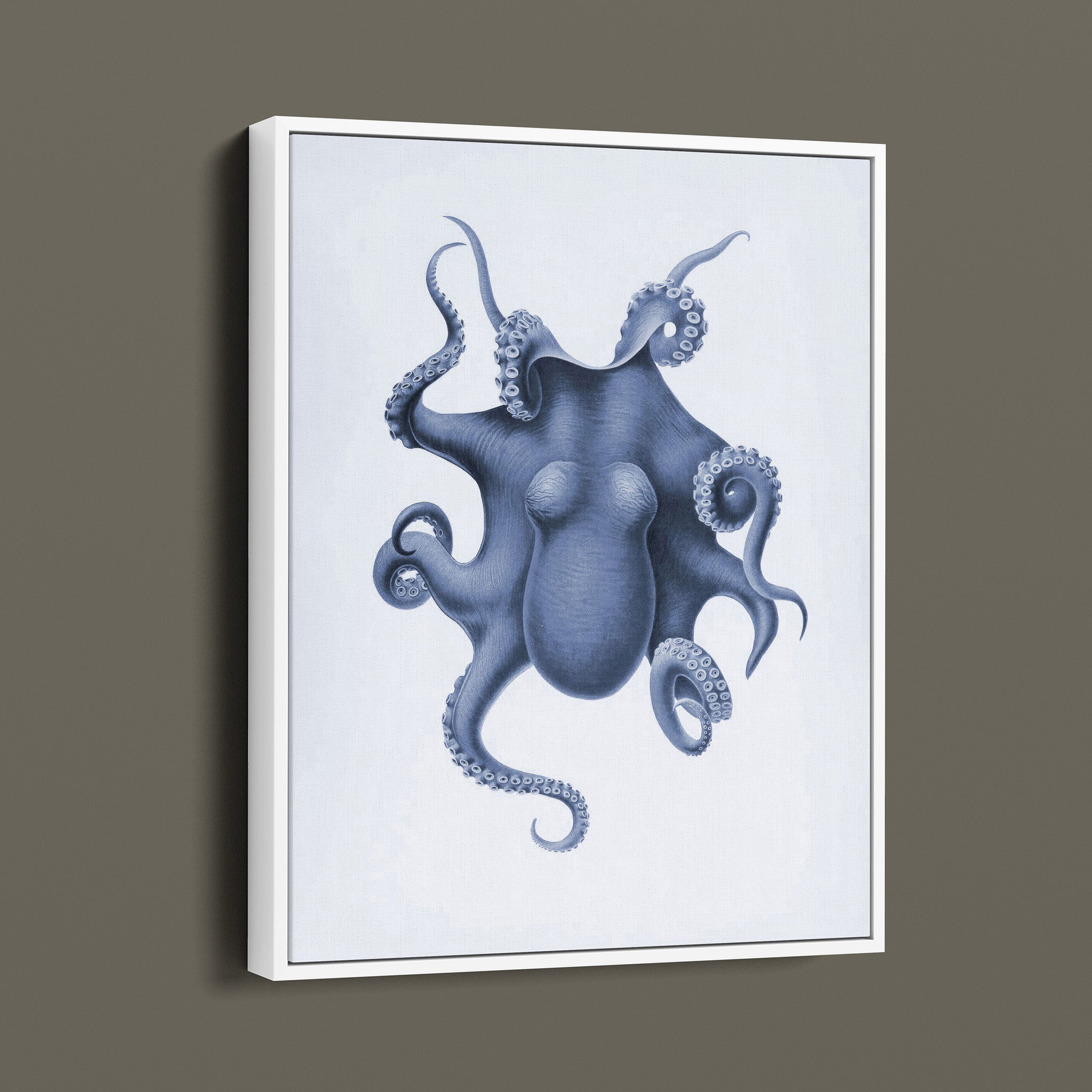 Vintage Octopus Illustration