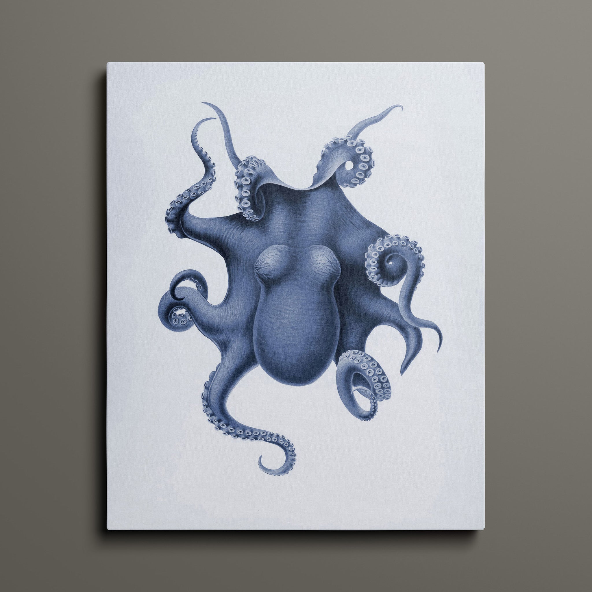 Vintage Octopus Illustration