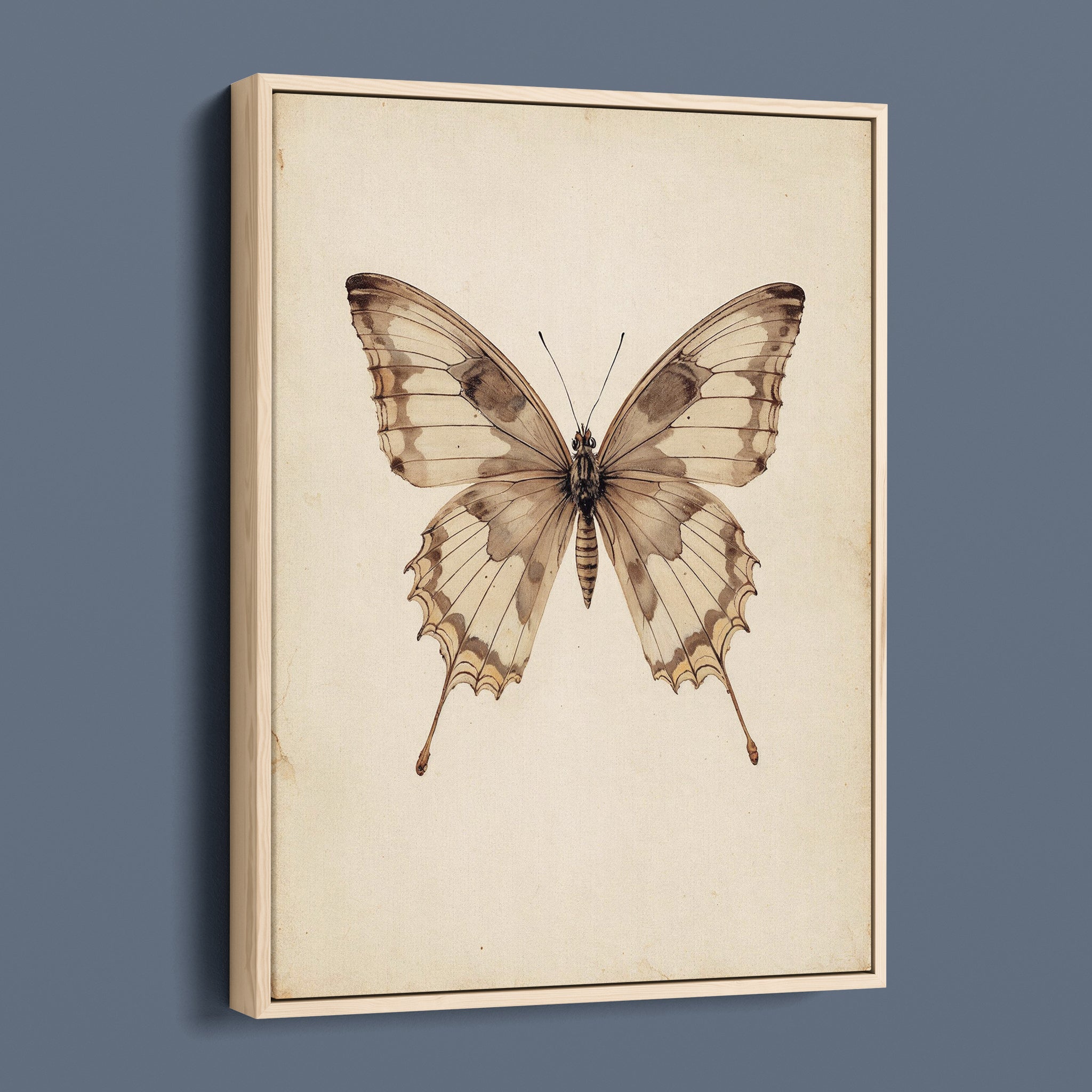 Antique Swallowtail