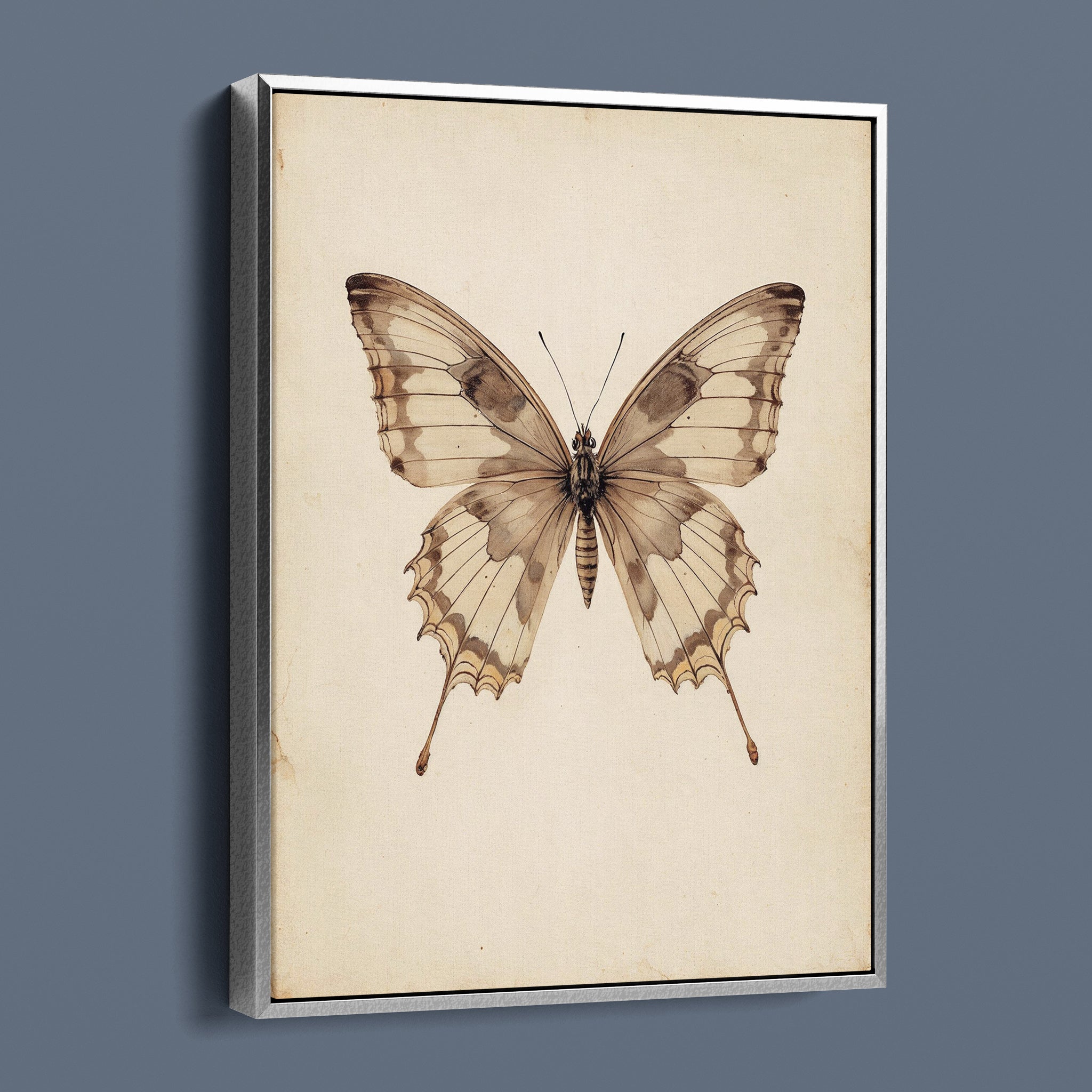 Antique Swallowtail