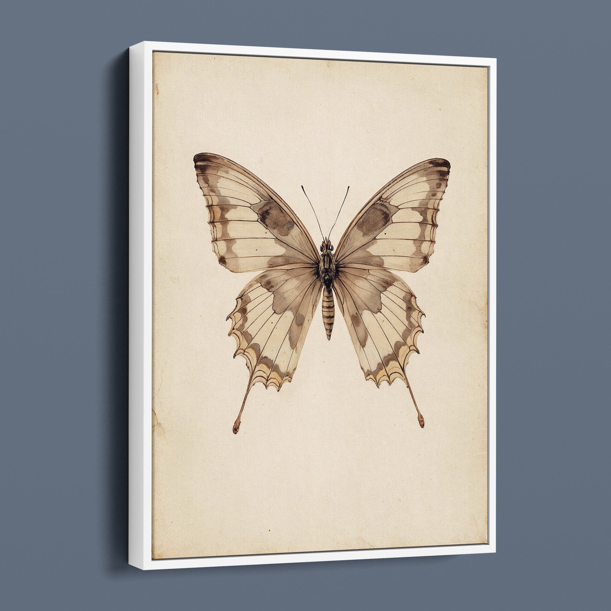 Antique Swallowtail