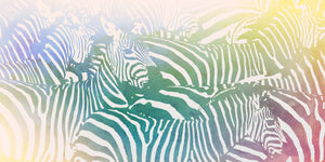 Colorful watercolor painting of a zebra featuring vibrant yellow, blue, and green hues, showcasing a harmonious gradient and dynamic brushstrokes that celebrate wildlife.