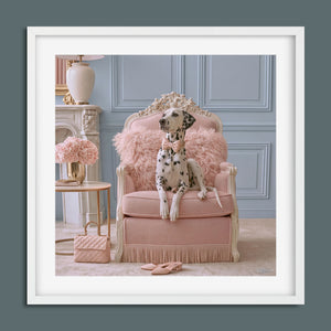 Dutchess framed fine art paper print in a white frame