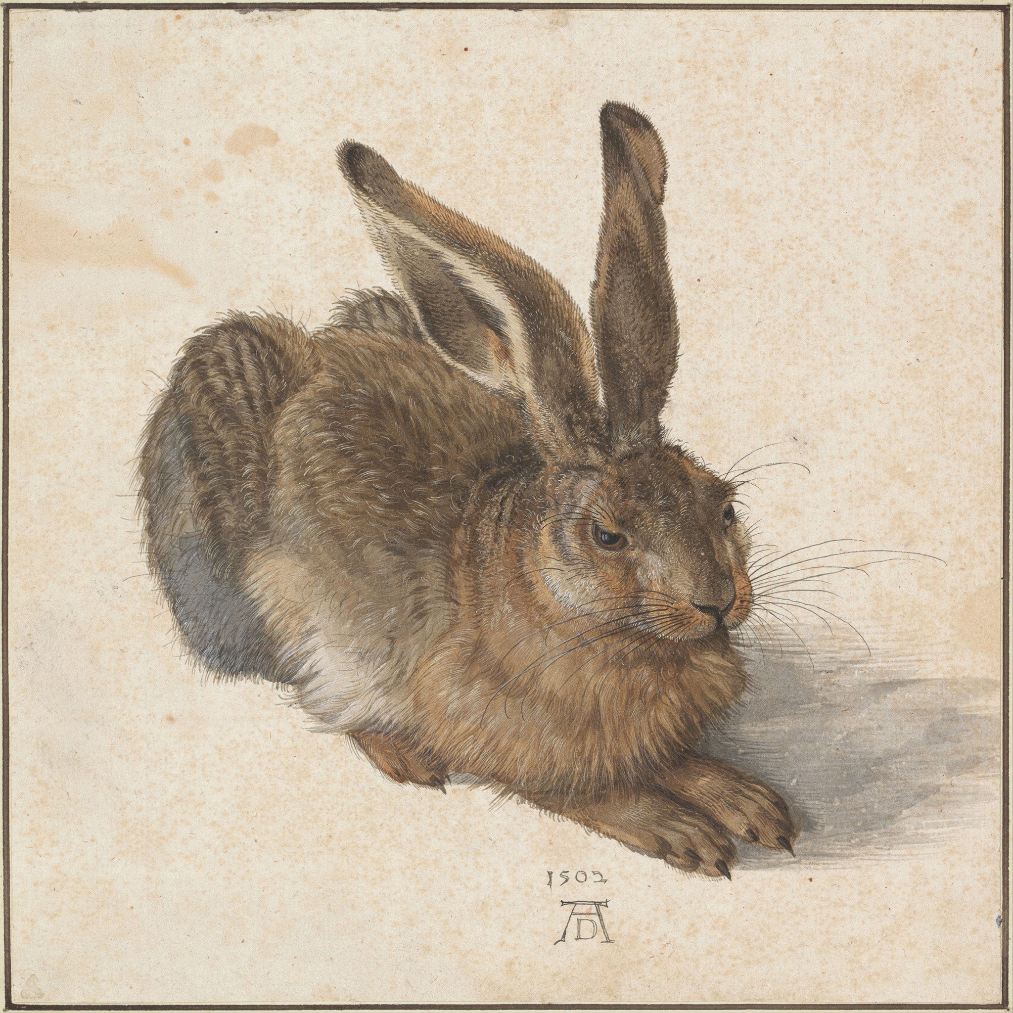 Detailed watercolor painting of a hare by Albrecht Dürer, showcasing intricate fur texture and shading in a classic Renaissance style.