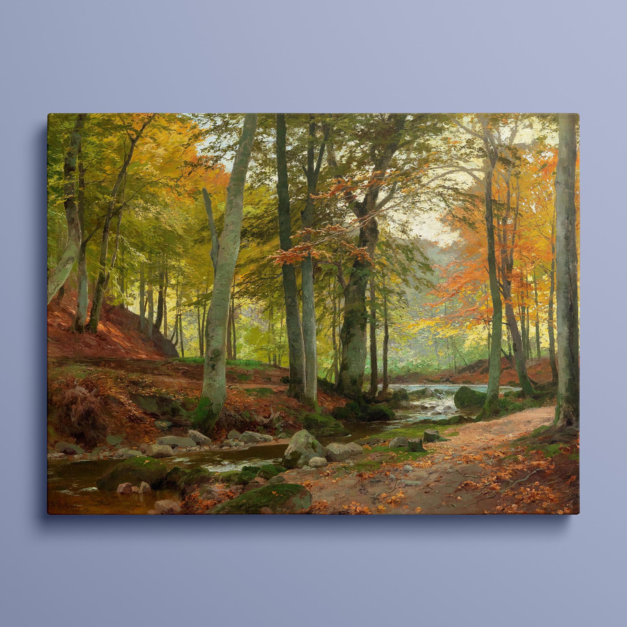 Sunlit Woodland Scene by