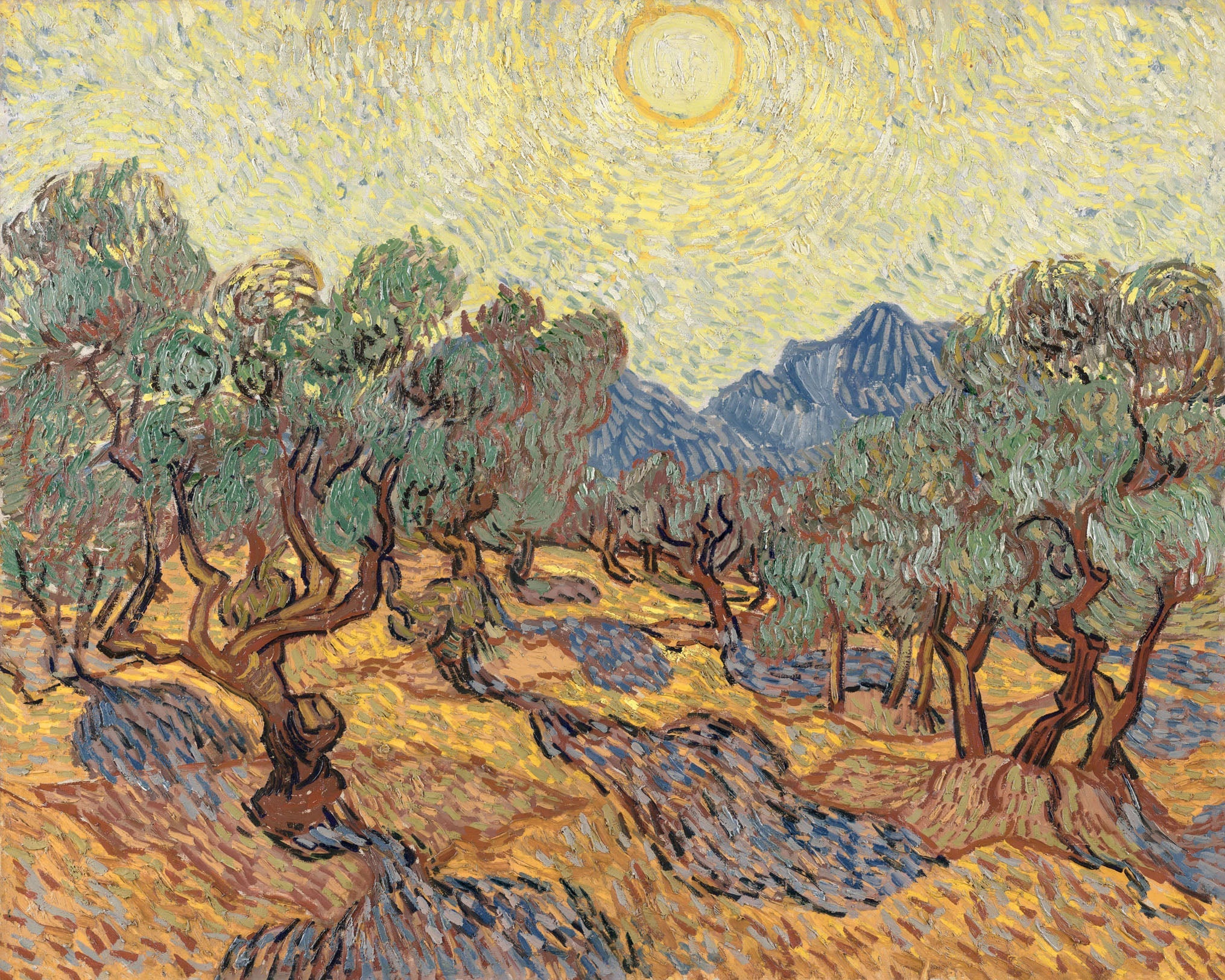 Olive Orchard with Mountains and Disk of the Sun