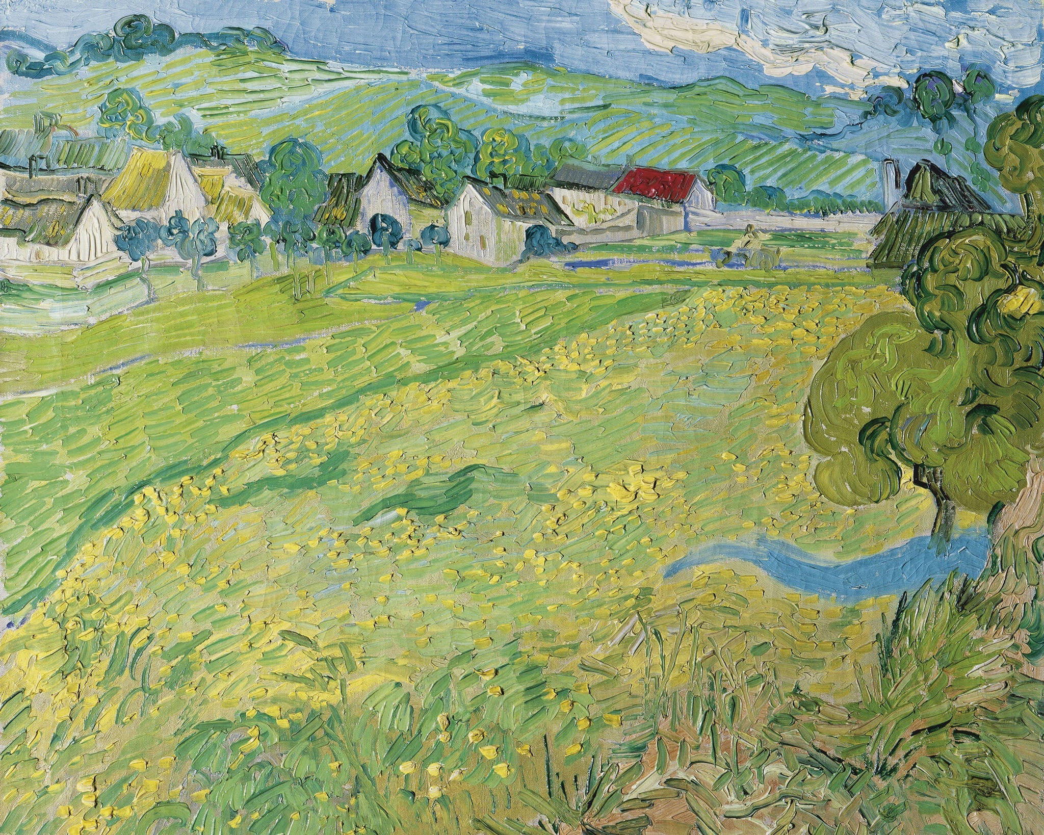 Field - Vincent Van Gogh