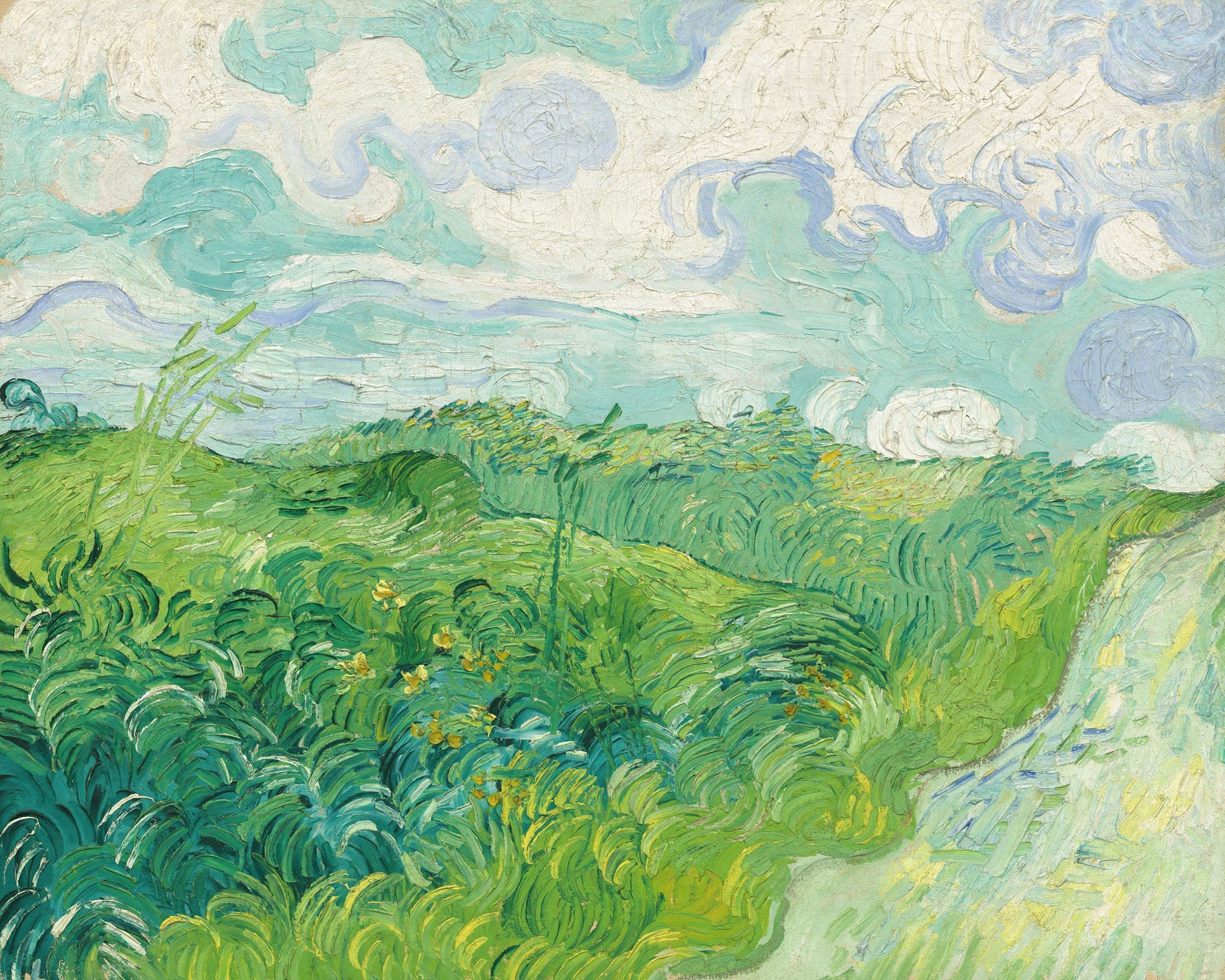 Green Wheat Fields Auvers - Vincent van Gogh