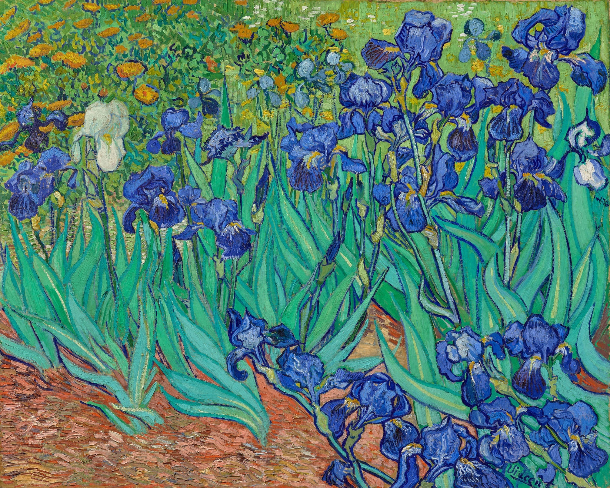 Irises - Vincent van Gogh