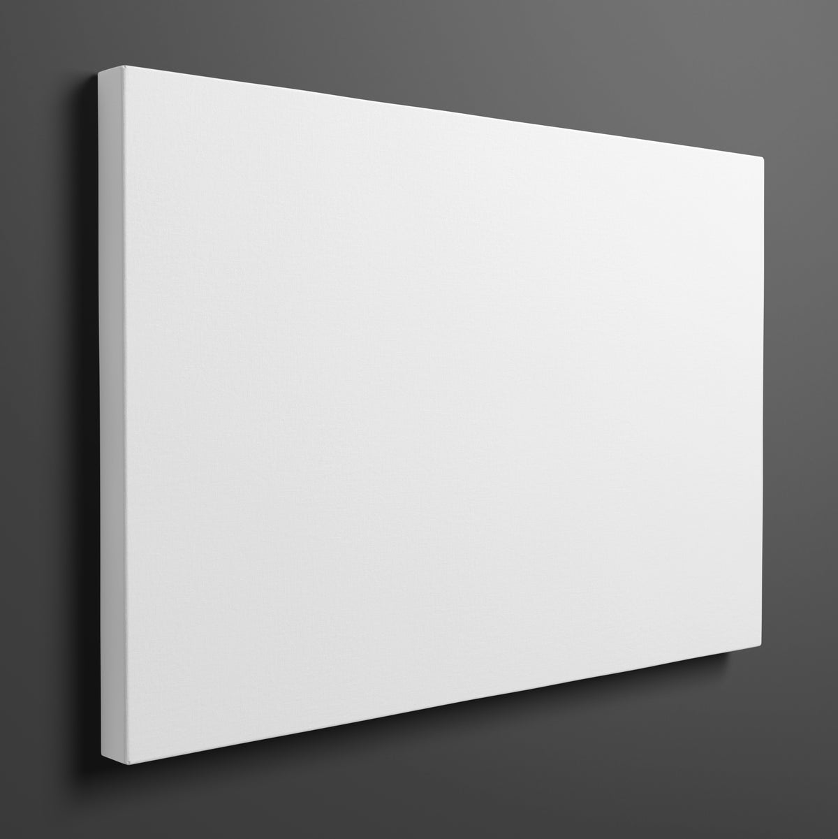 Two Natures stretched gallery-wrap canvas, front view
