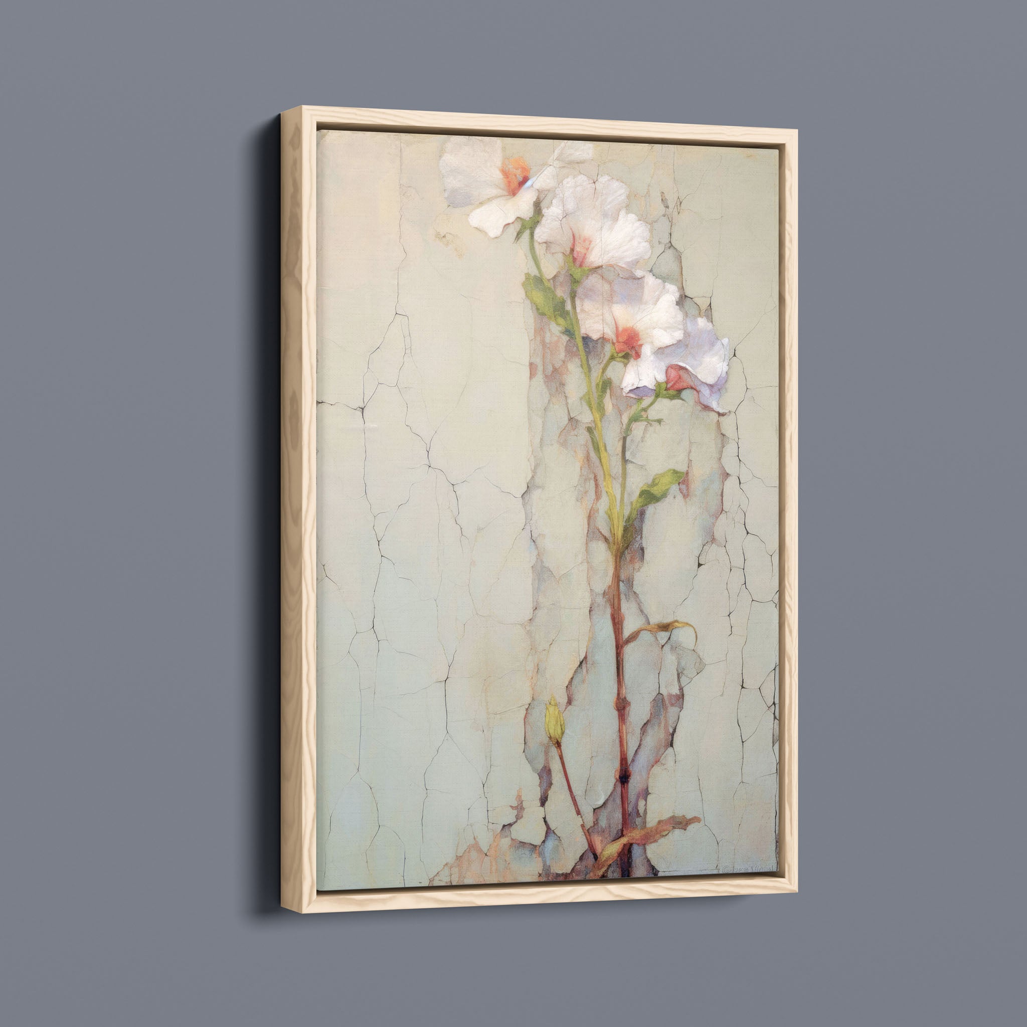 Delicate Wallflower - Fresco Floral 6