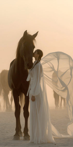 Fine art photograph of a woman in a flowing white chiffon gown gently kissing the muzzle of a large dark bay horse in a golden, dust-hazed desert landscape, with silhouettes of horses fading into the warm amber background.