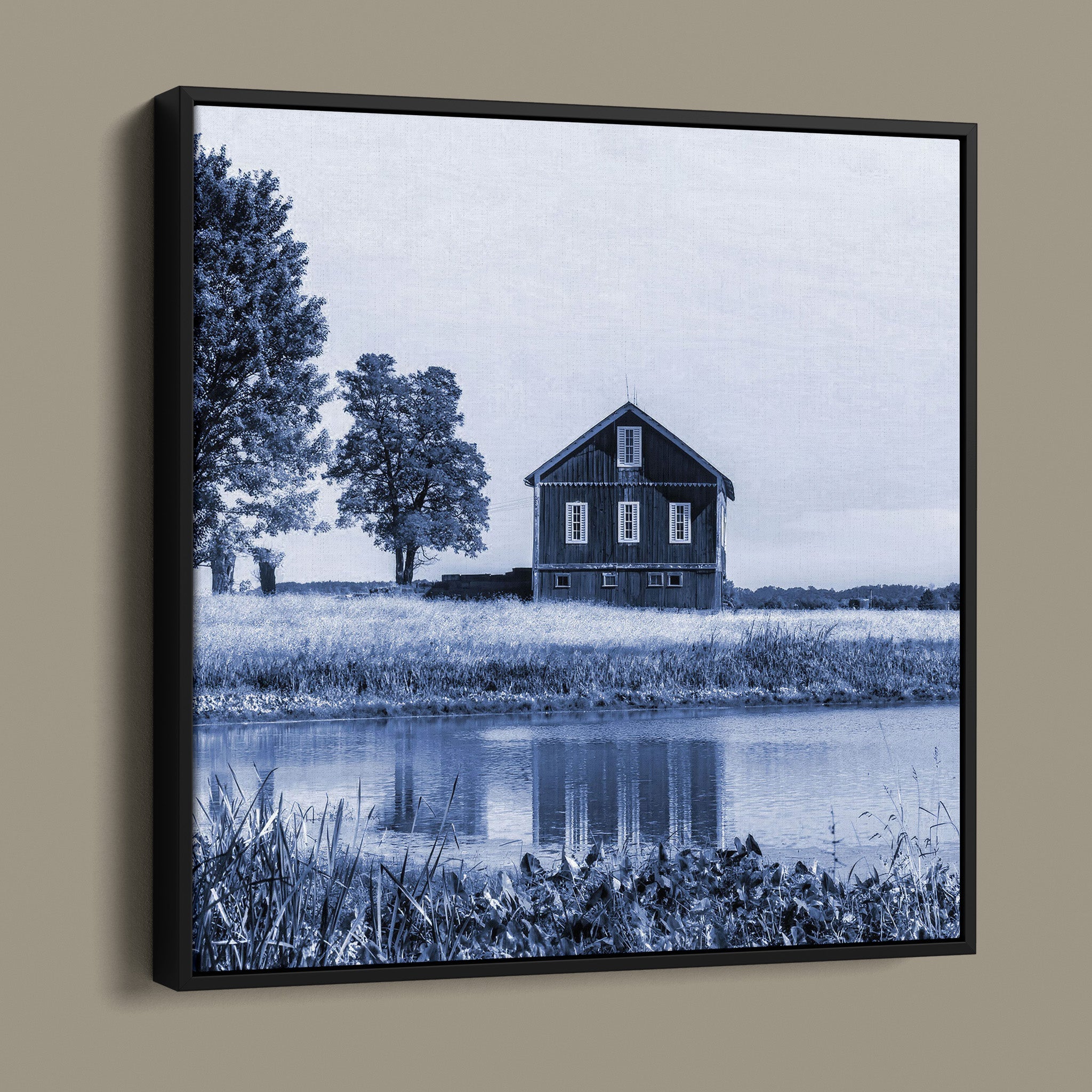 Barn Beside Tree - Beach City OH United States - in Blue