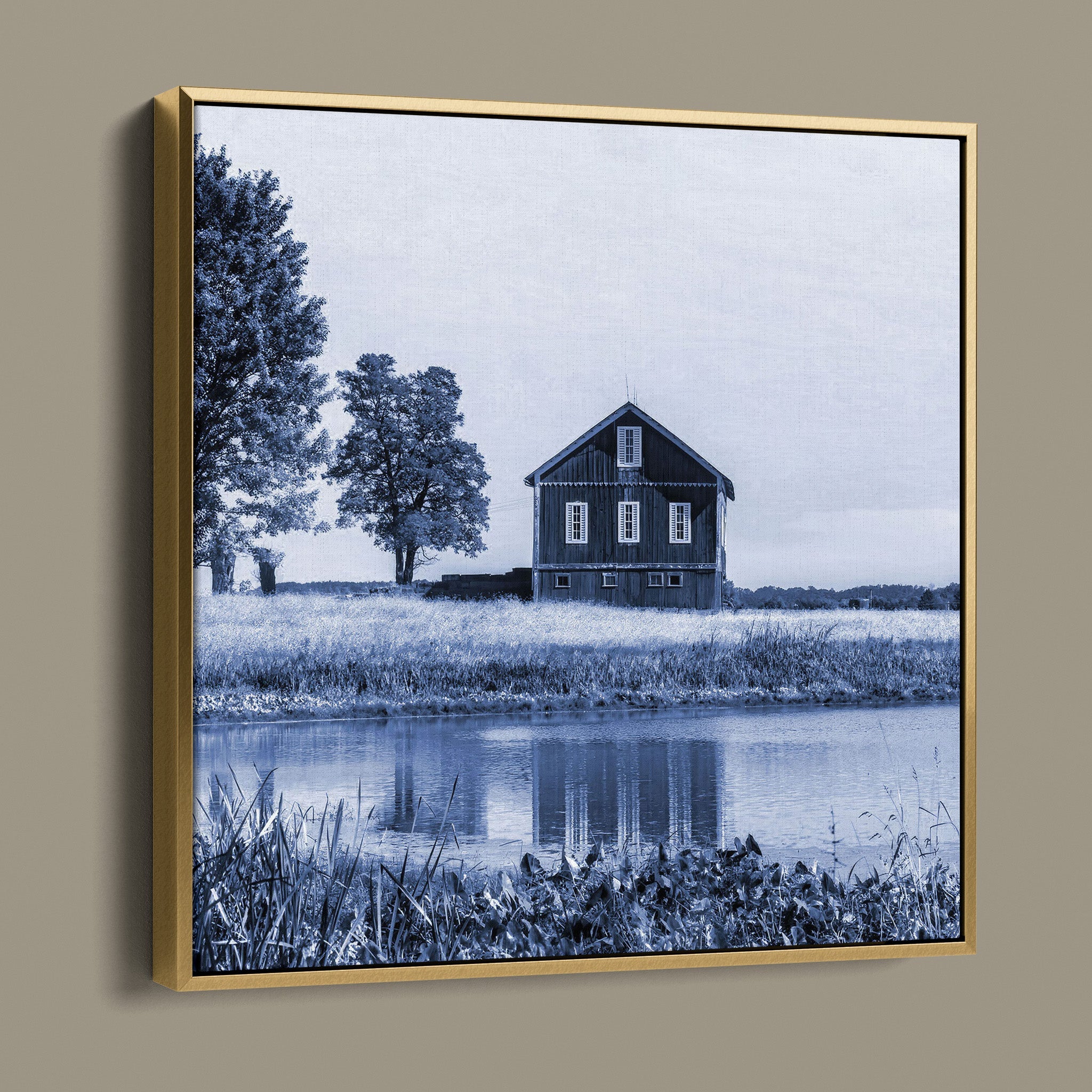 Barn Beside Tree - Beach City OH United States - in Blue